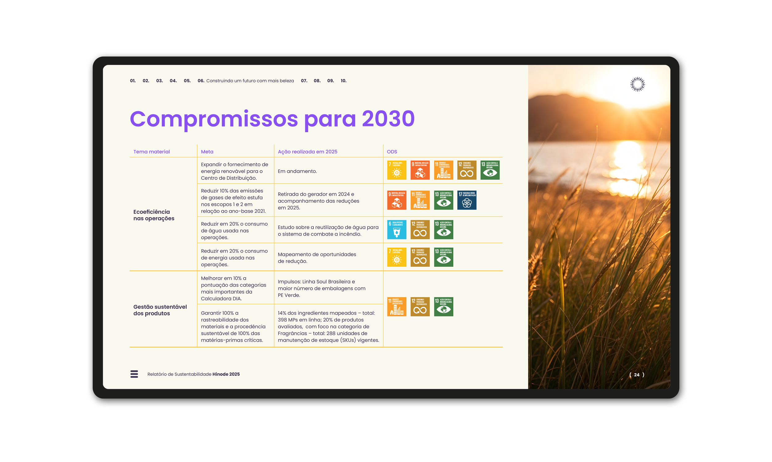AleMarchesini_relatorio_HinodeGroup_2025_10.png