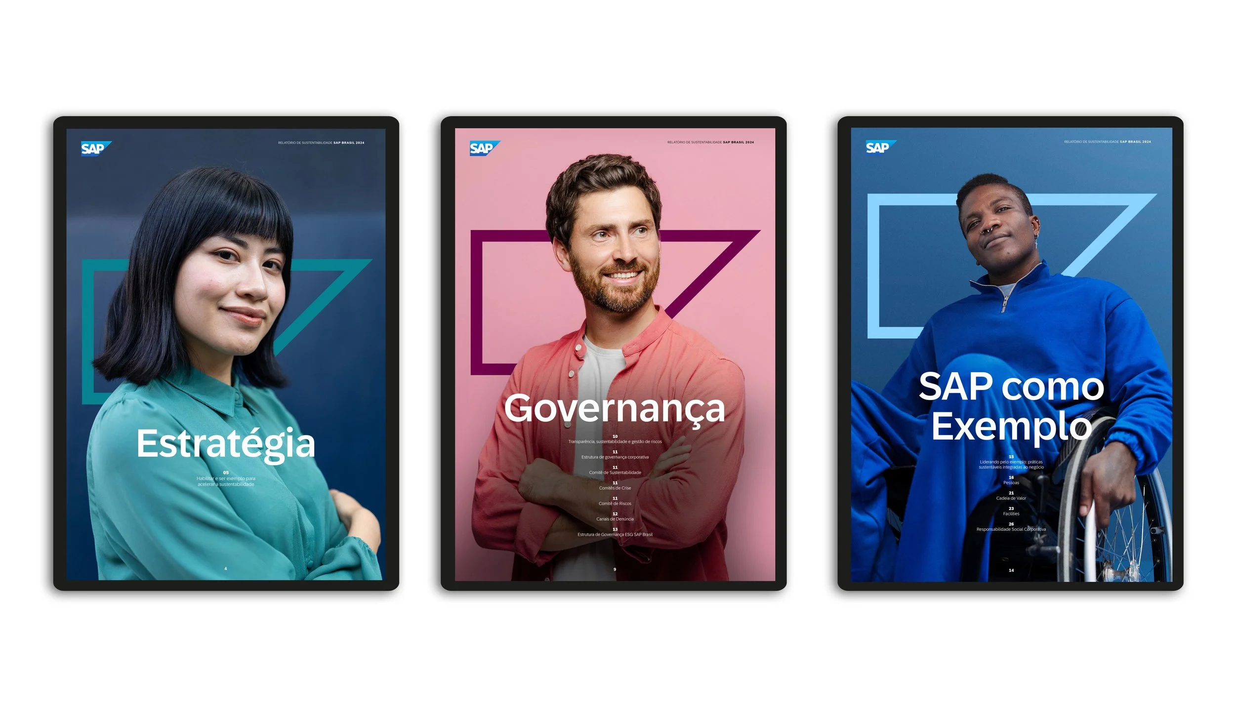 AleMarchesini_relatorio_SAP_2024_02.jpg