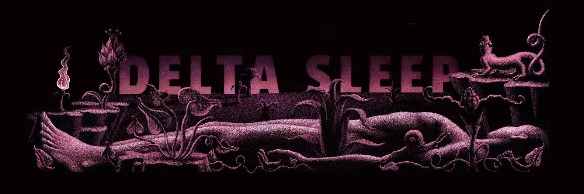 DS Merch banner.png