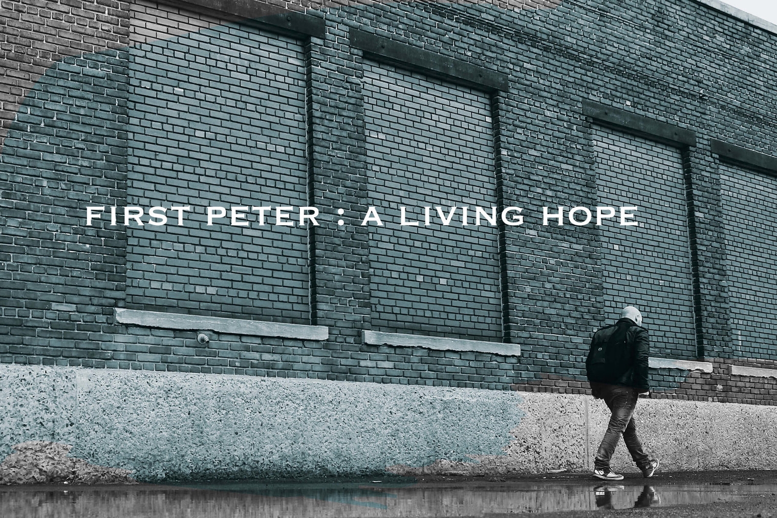 First Peter (Spring 2016)