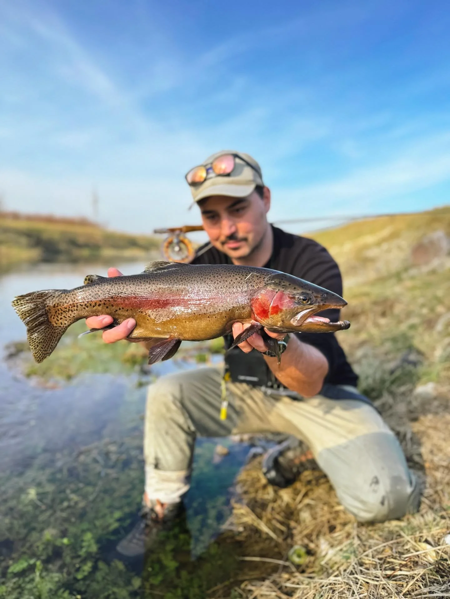 Goran with his first wild bow of the season!