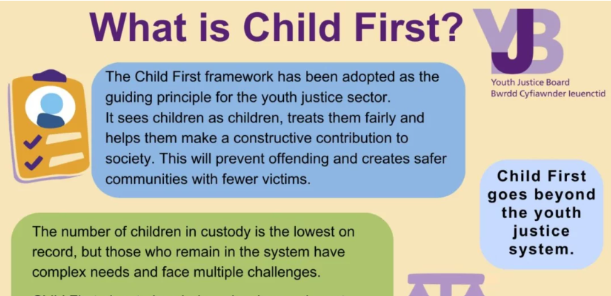 Janine co-authored new book chapter: ‘the Importance of the Child First Approach in Addressing Knife Crime’