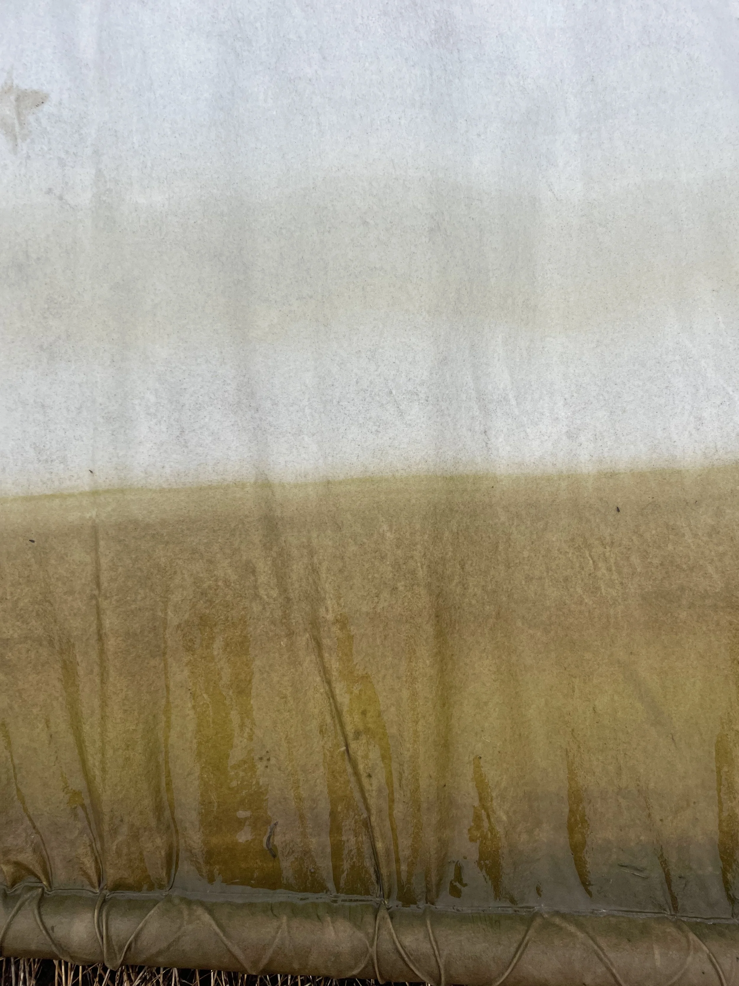 Extraction Detail (Installation 1), March 2025 