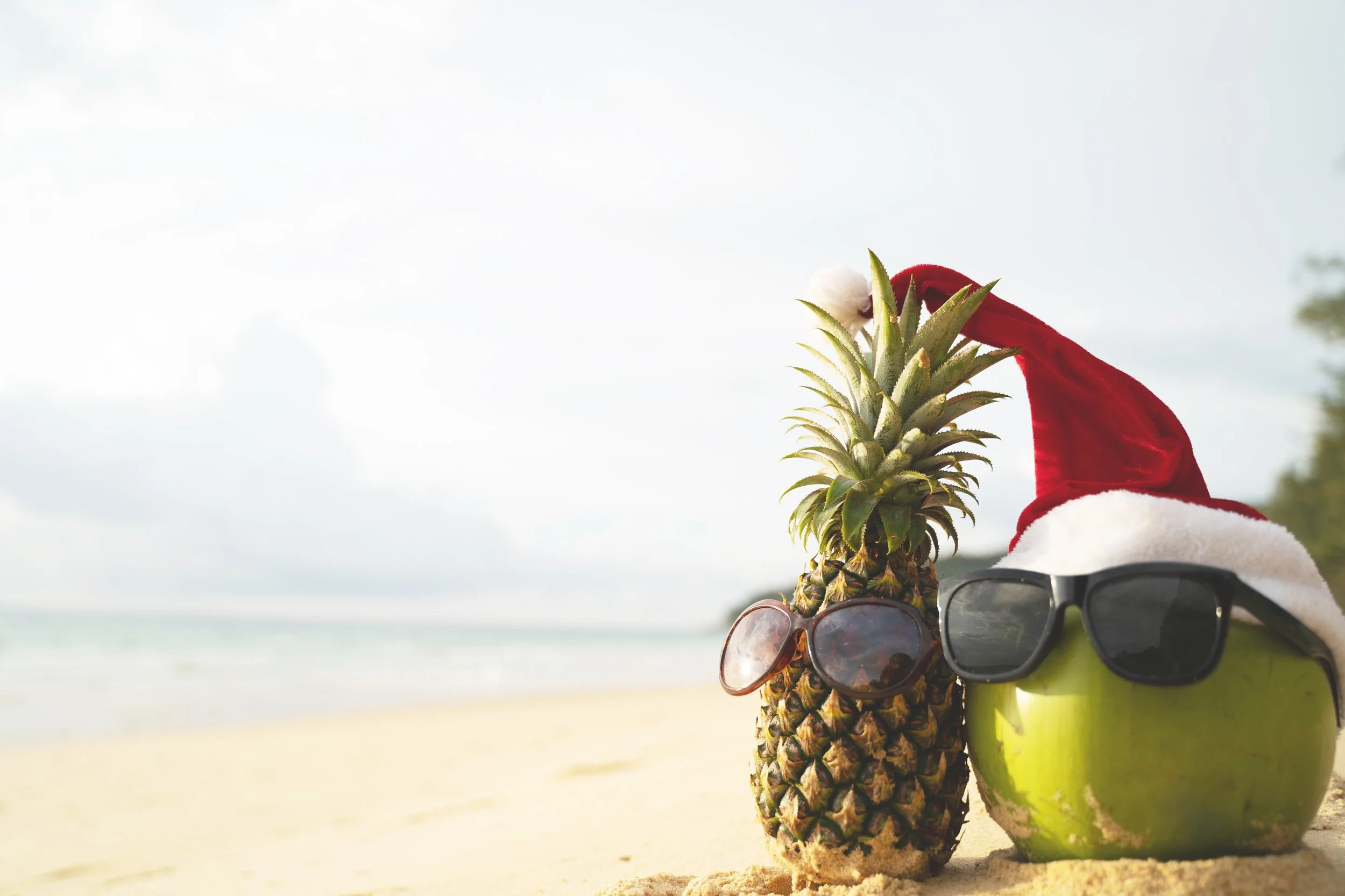 Would rather NOT be 'Home for the Holidays'?