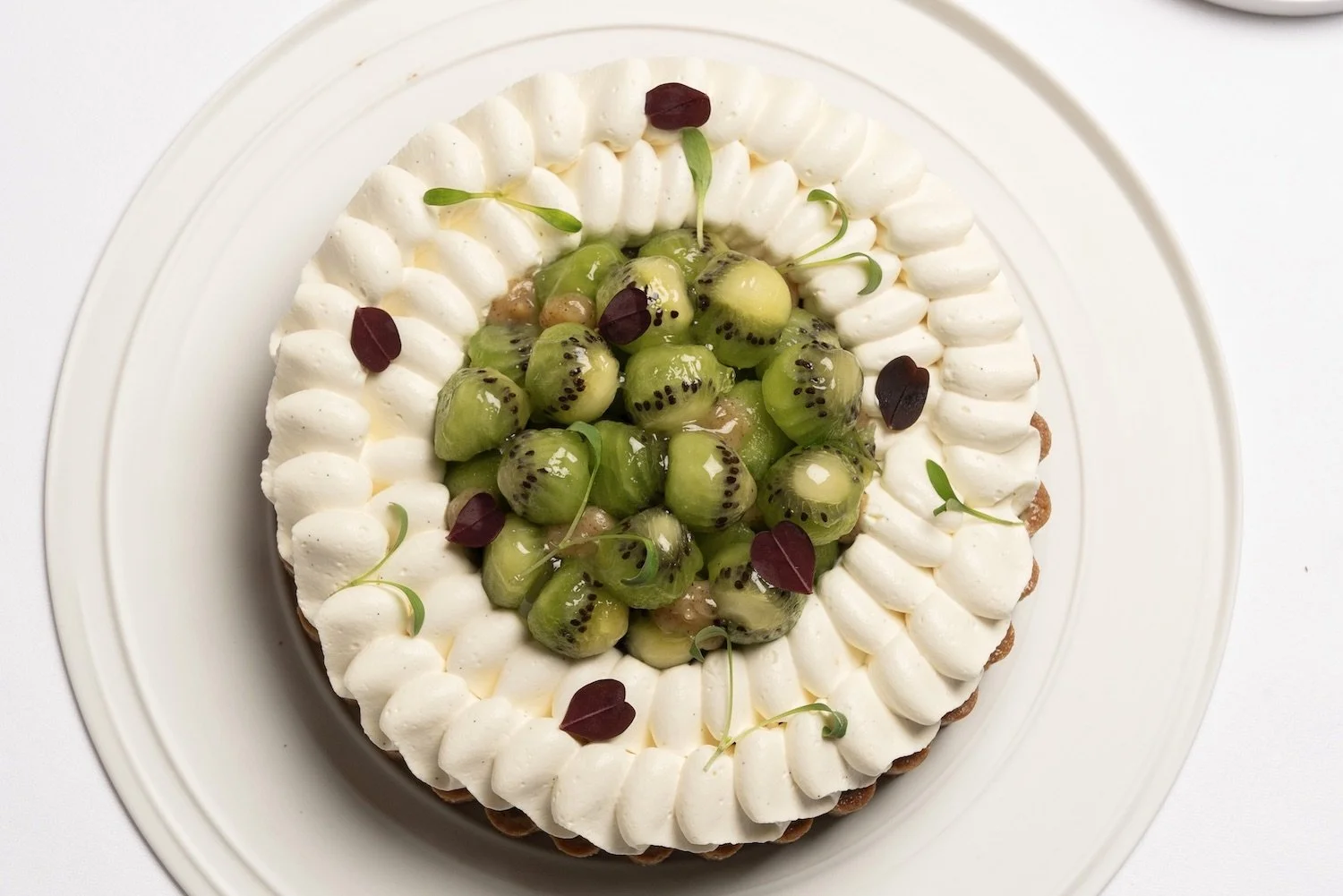 tarte_kiwi_grand format.jpg