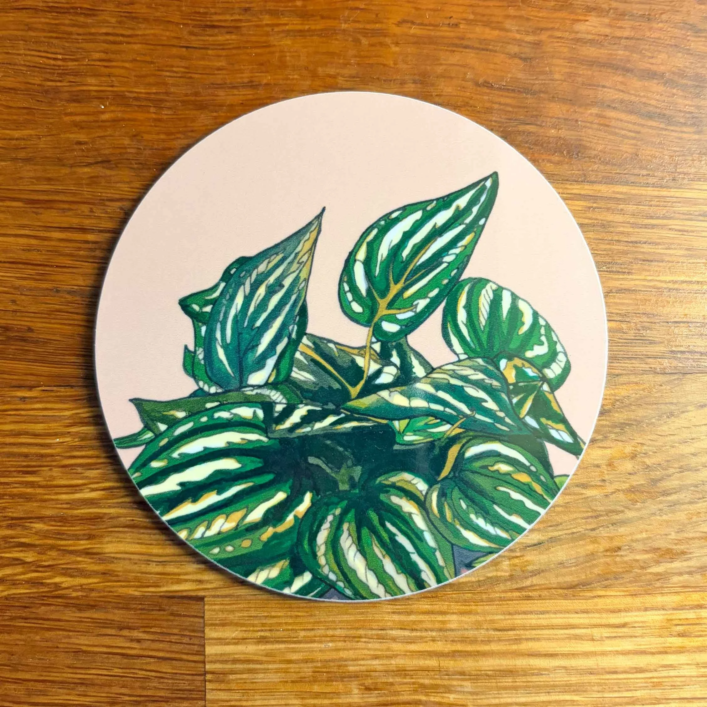 SQ_Houseplants_2_Round_Melamine_Coaster_WEB.jpg