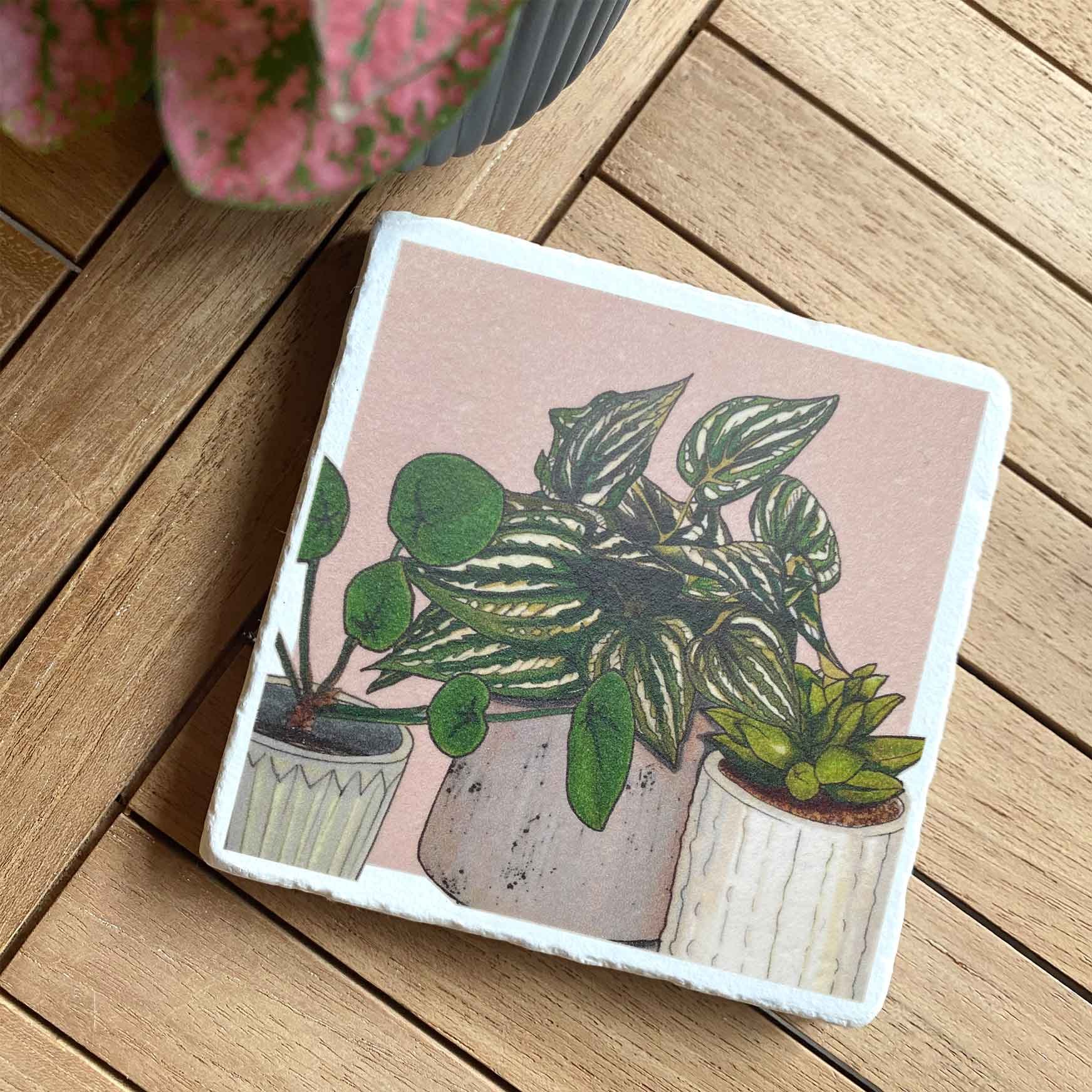 House Plants Trio Marble Coaster