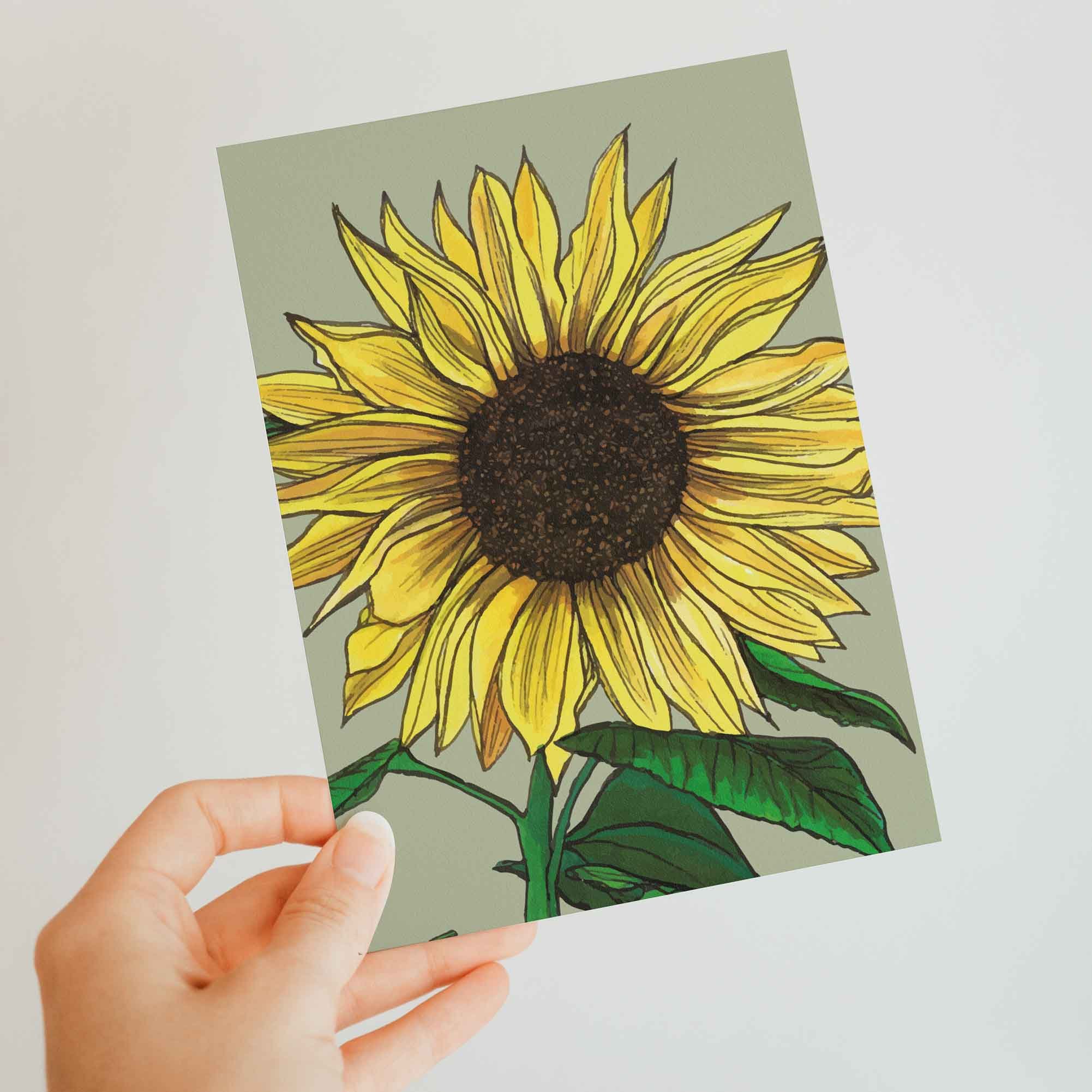 Sunflower-A6.jpg