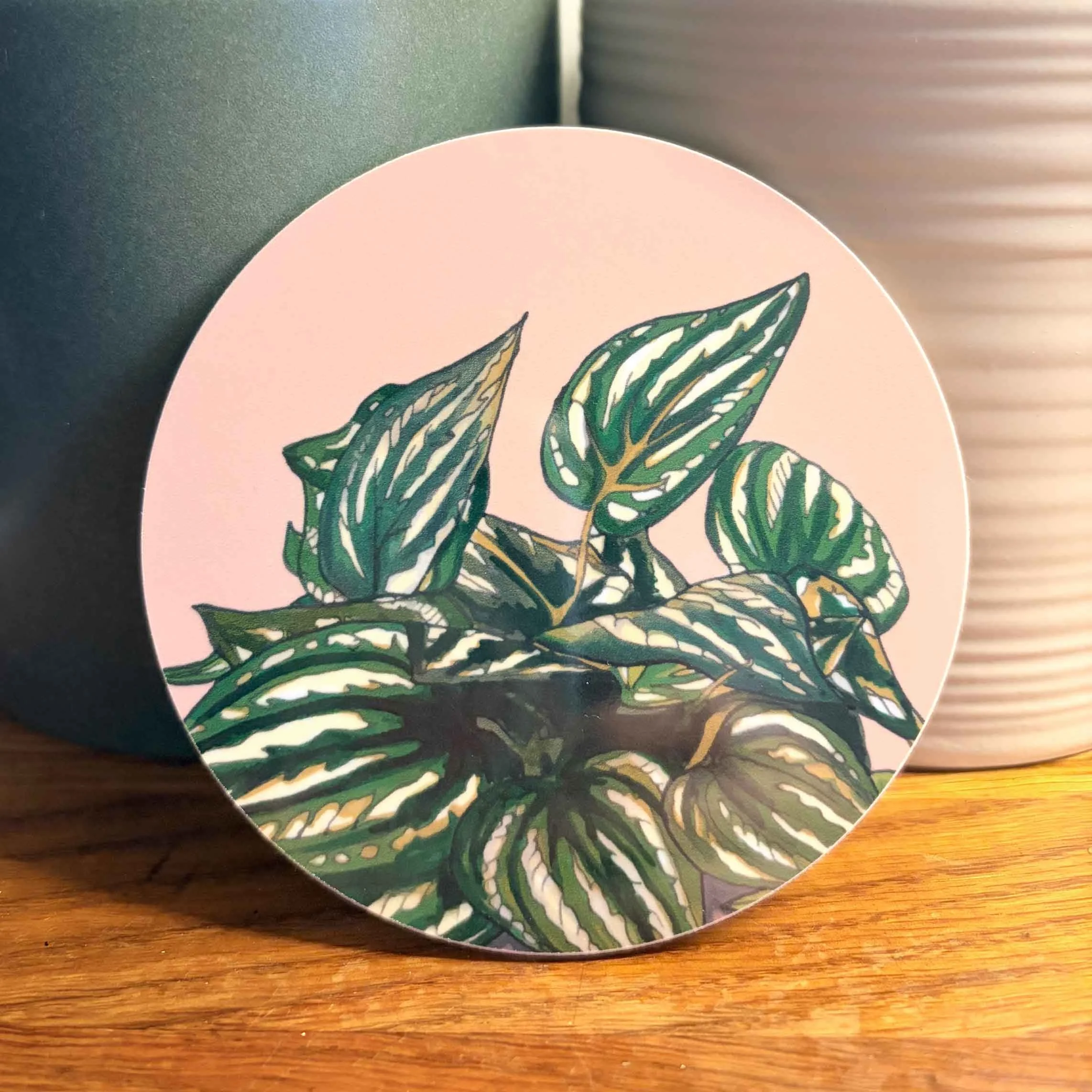 Houseplants Round Coaster