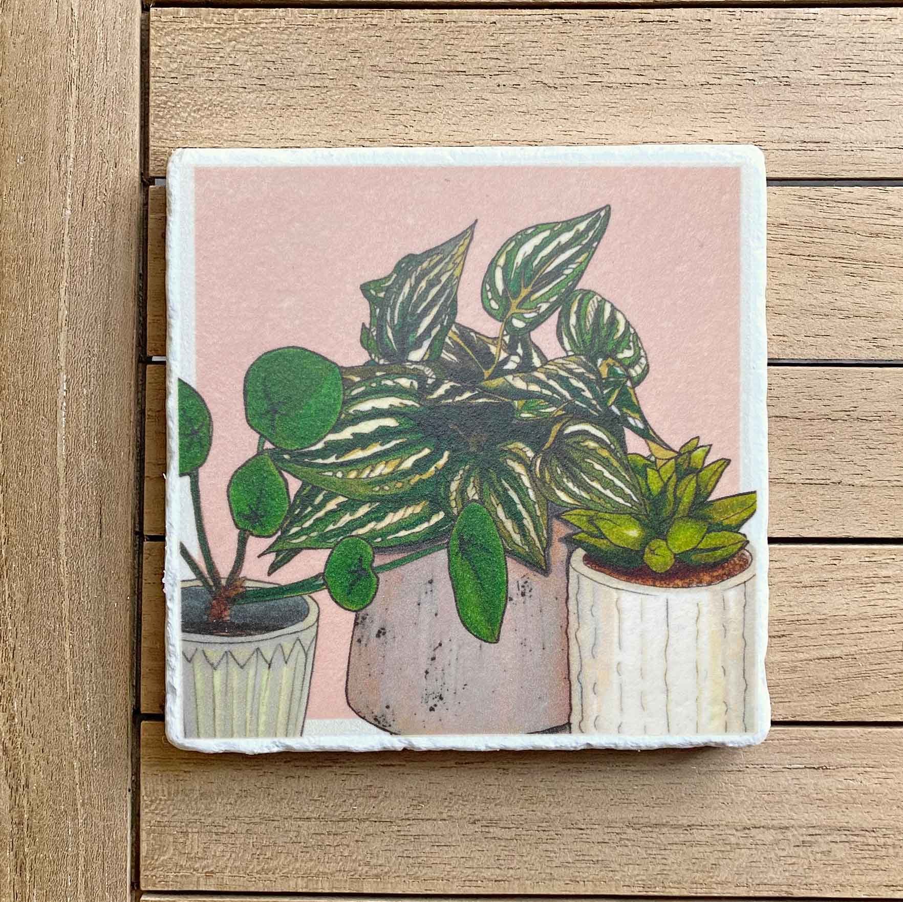 HousePlantsTrio_24_2CloseUp.jpg