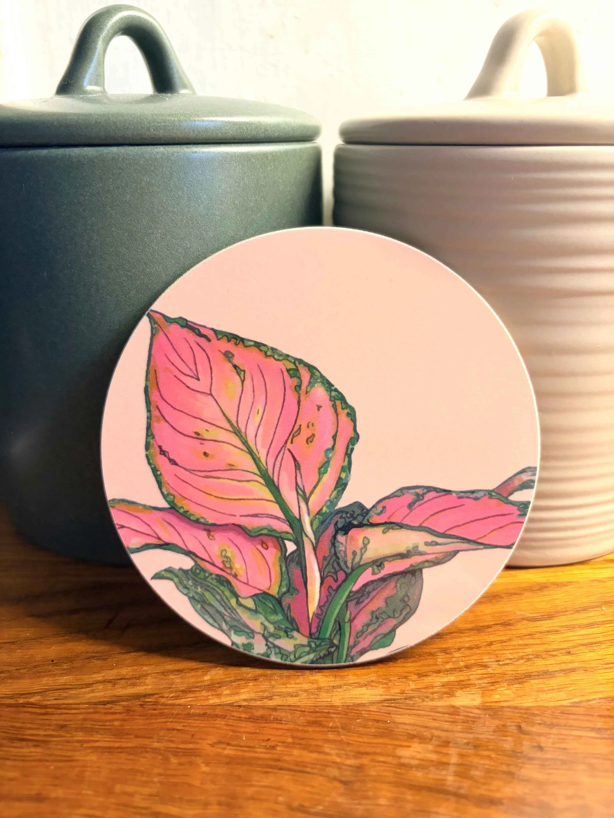 Chinese Evergreen Round Coaster