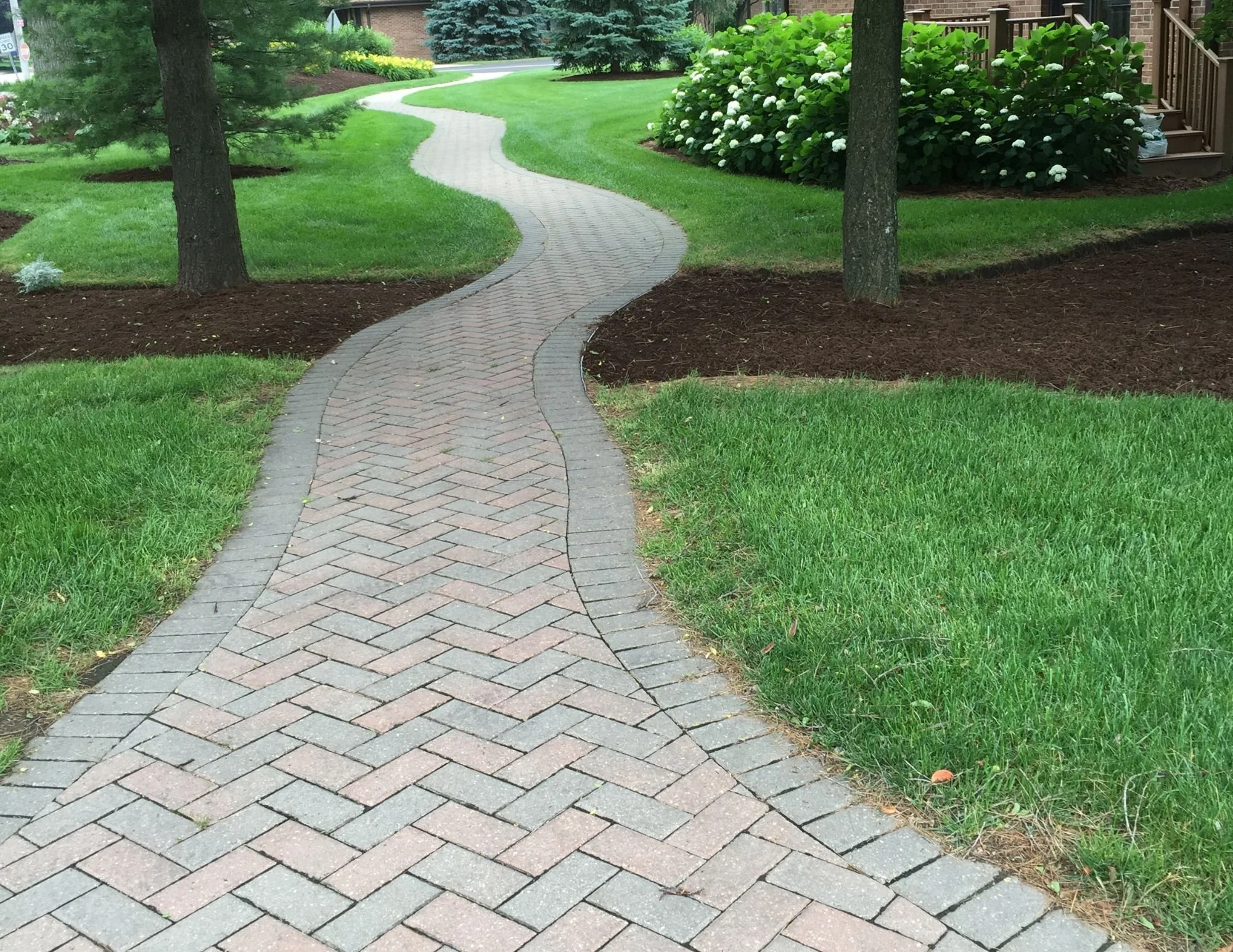 pathway behind duplex.jpg