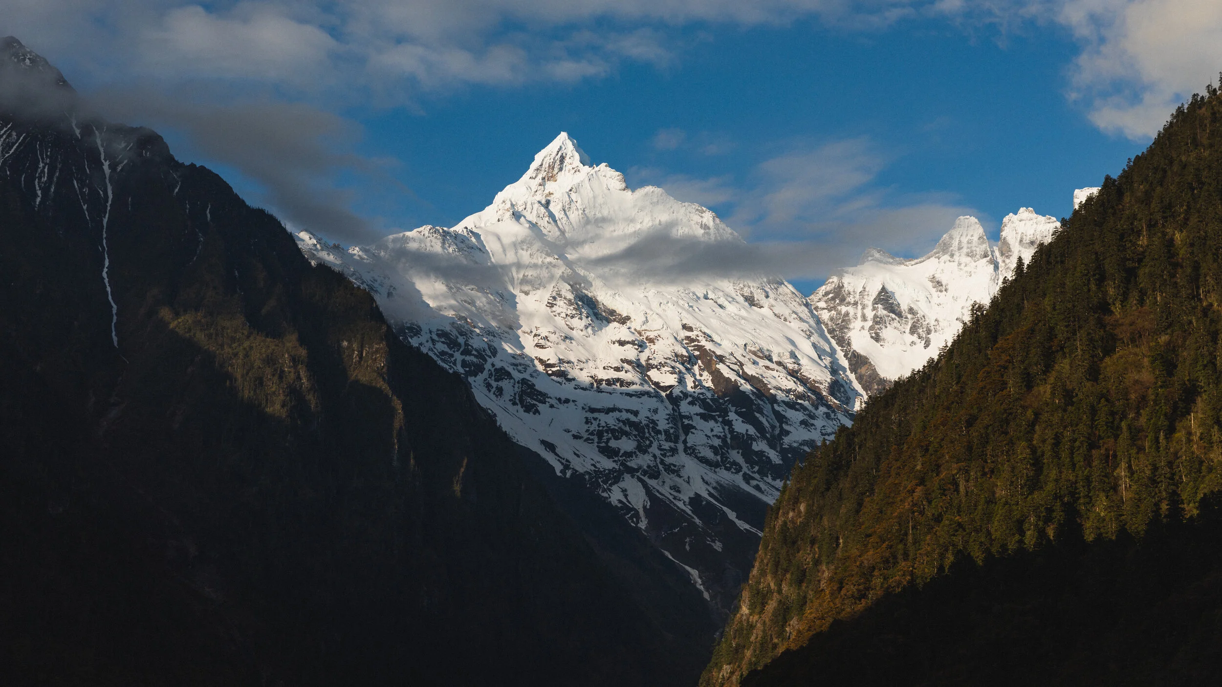 Cover Page 3-squashed.jpg