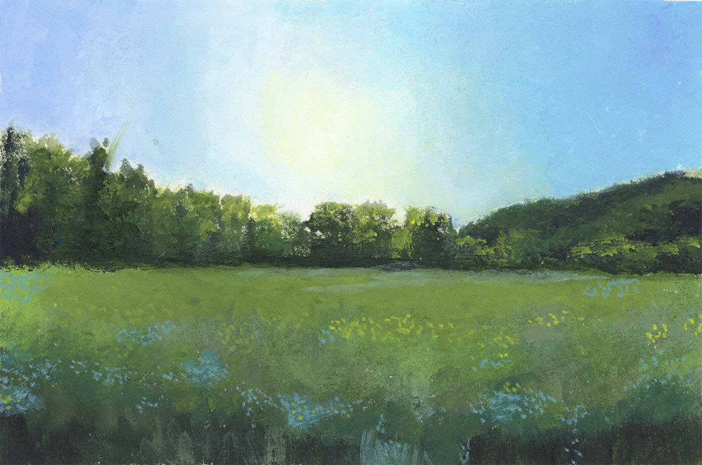 CountryMeadowWeb.jpg