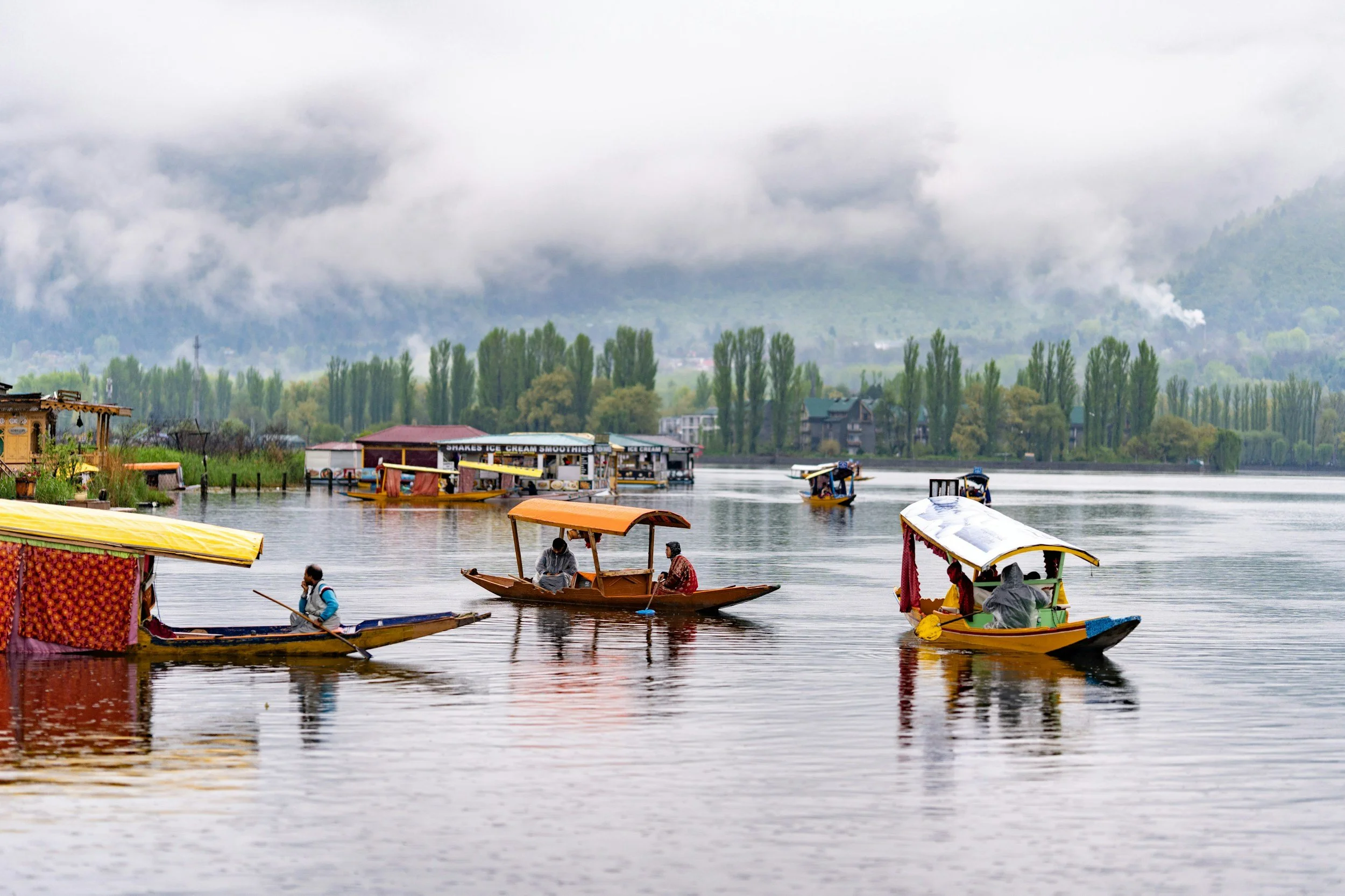 When a Language Begins to Disappear: My Kashmiri Story of Shame, Memory, and Return