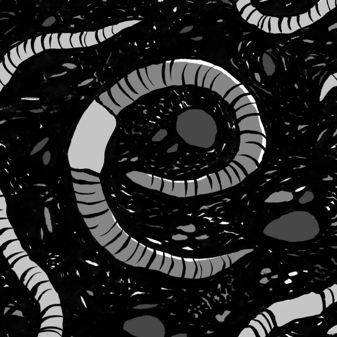 A black and white children’s illustration by Hayley Wells. The illustration uses expressive line work and texture to create a playful image of an earthworm curled into the shape of the letter E.