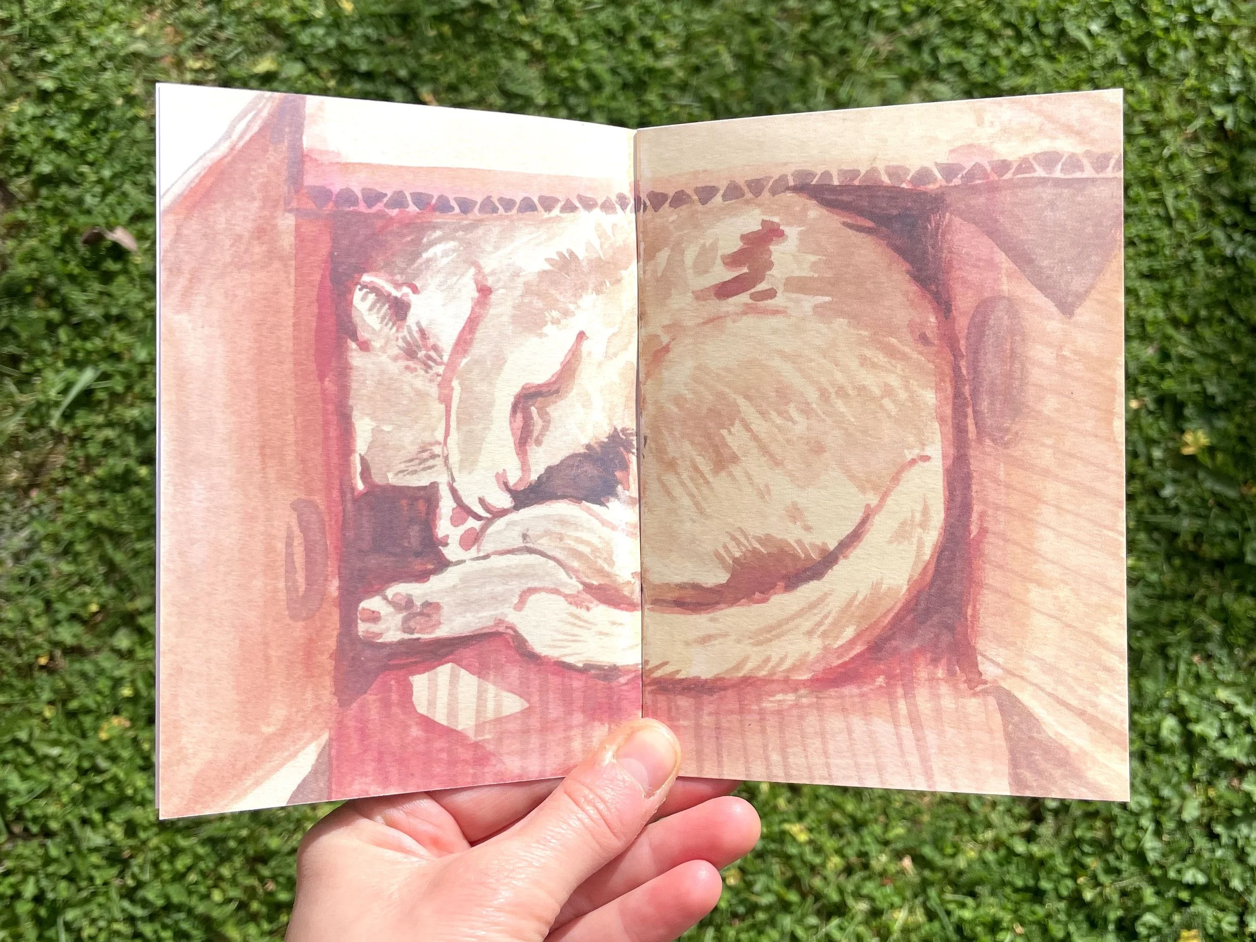 cats-kitties-illustration-sketchbook-zine-2.jpg