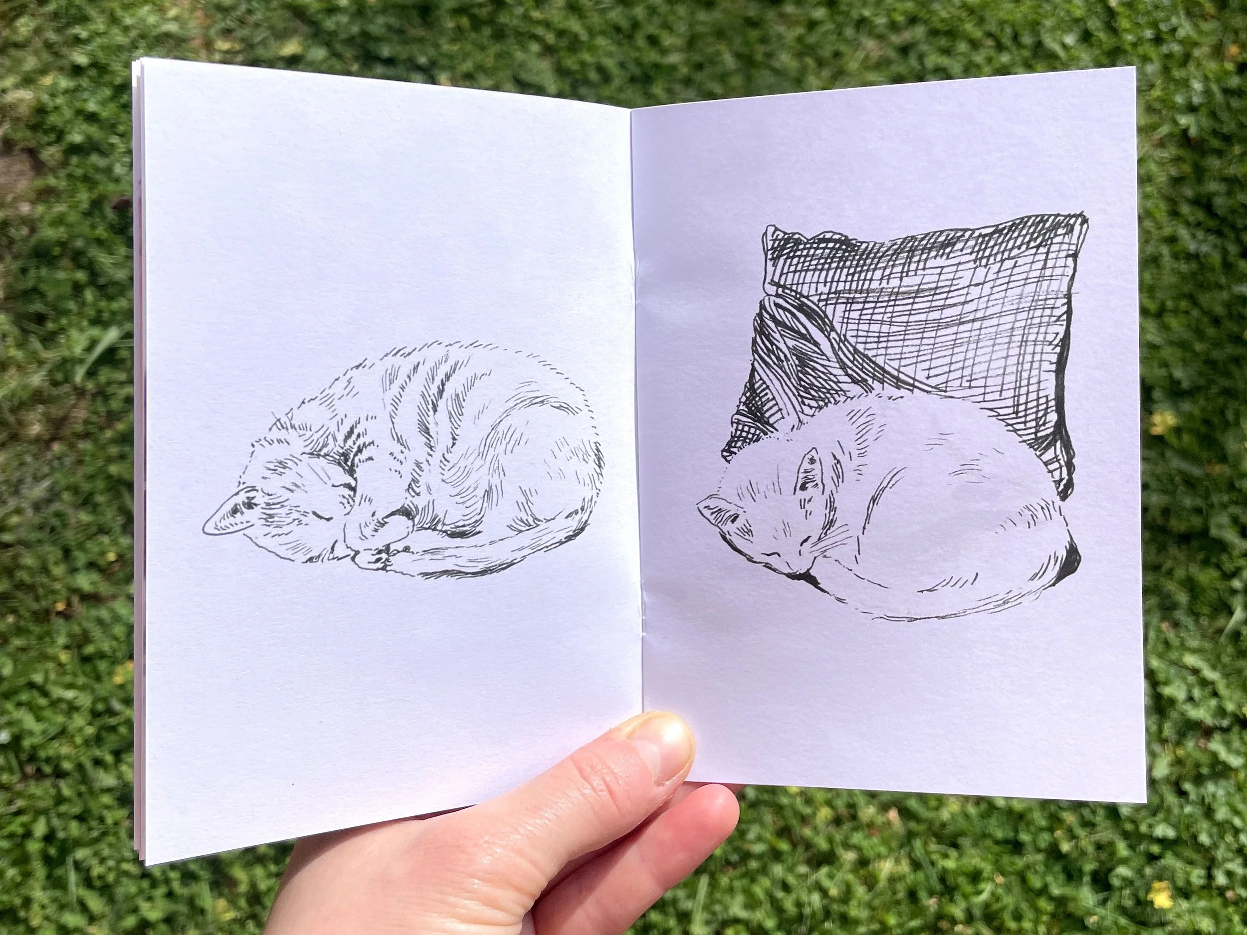 cats-kitties-illustration-sketchbook-zine-3.jpg
