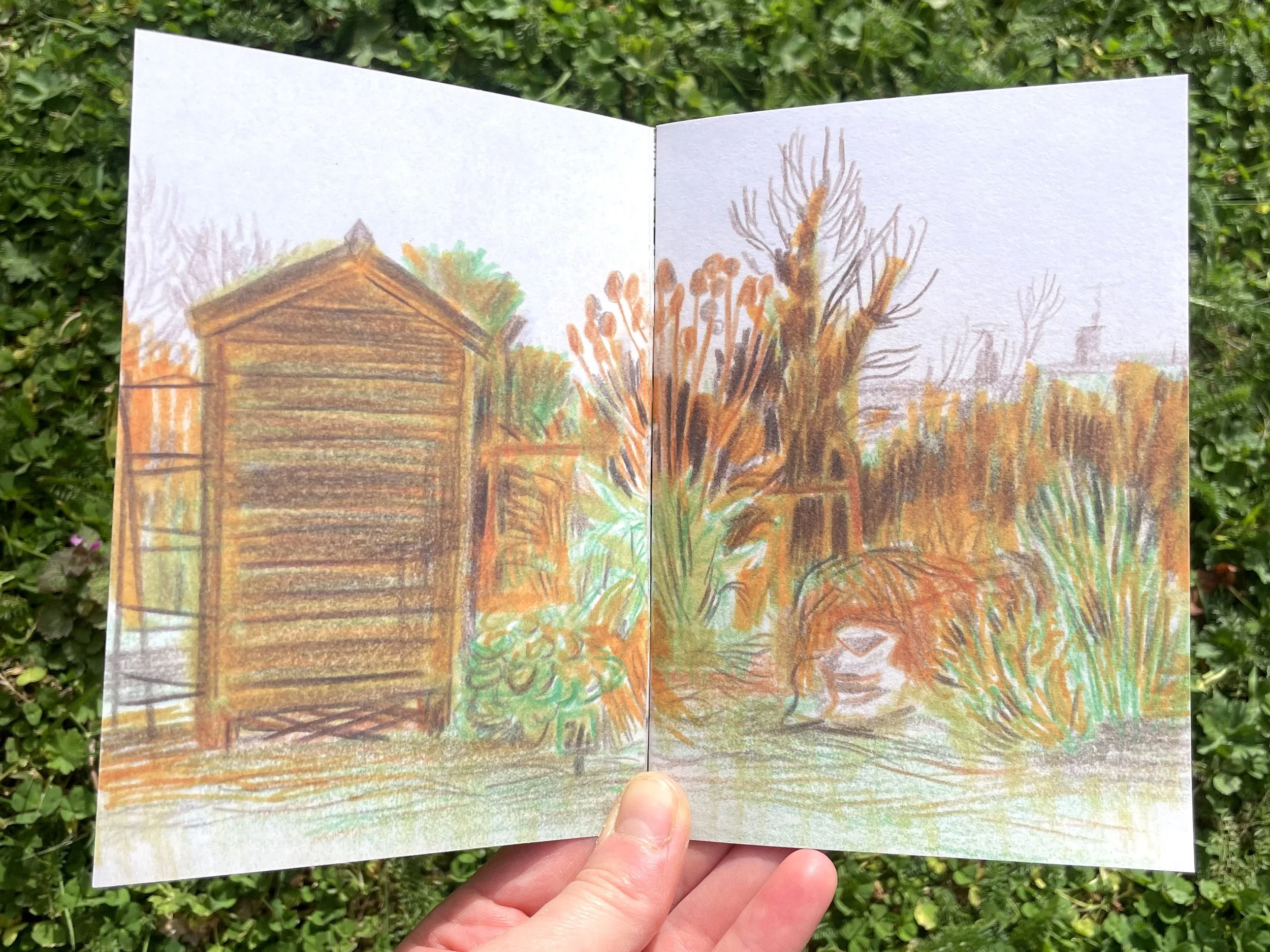 gardens-allotments-illustration-sketchbook-zine-2.jpg