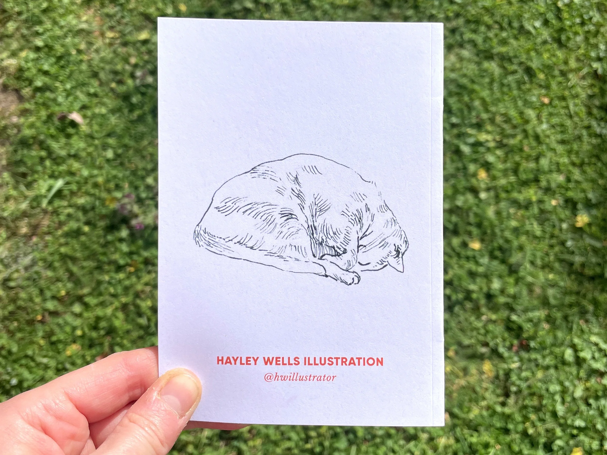 cats-kitties-illustration-sketchbook-zine-5.jpg