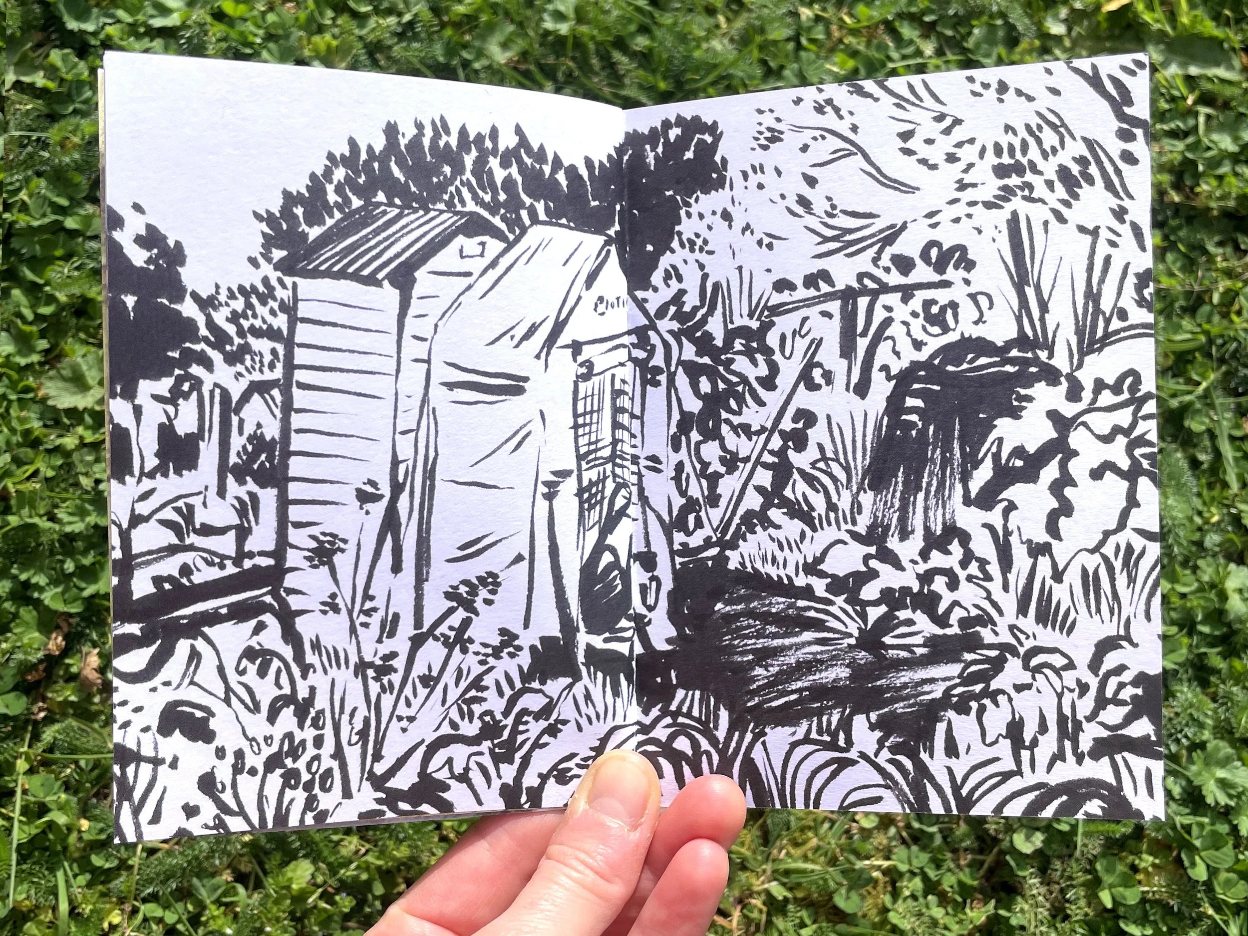 gardens-allotments-illustration-sketchbook-zine-5.jpg