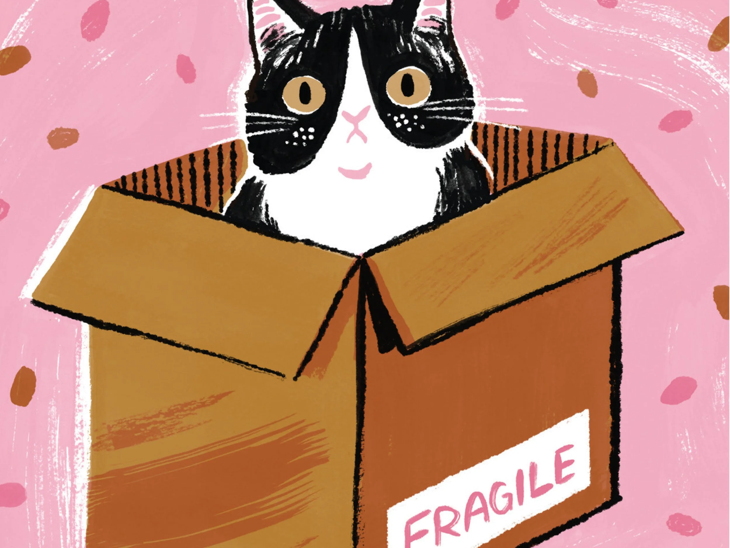 ETSY-CATBOX-5.jpg