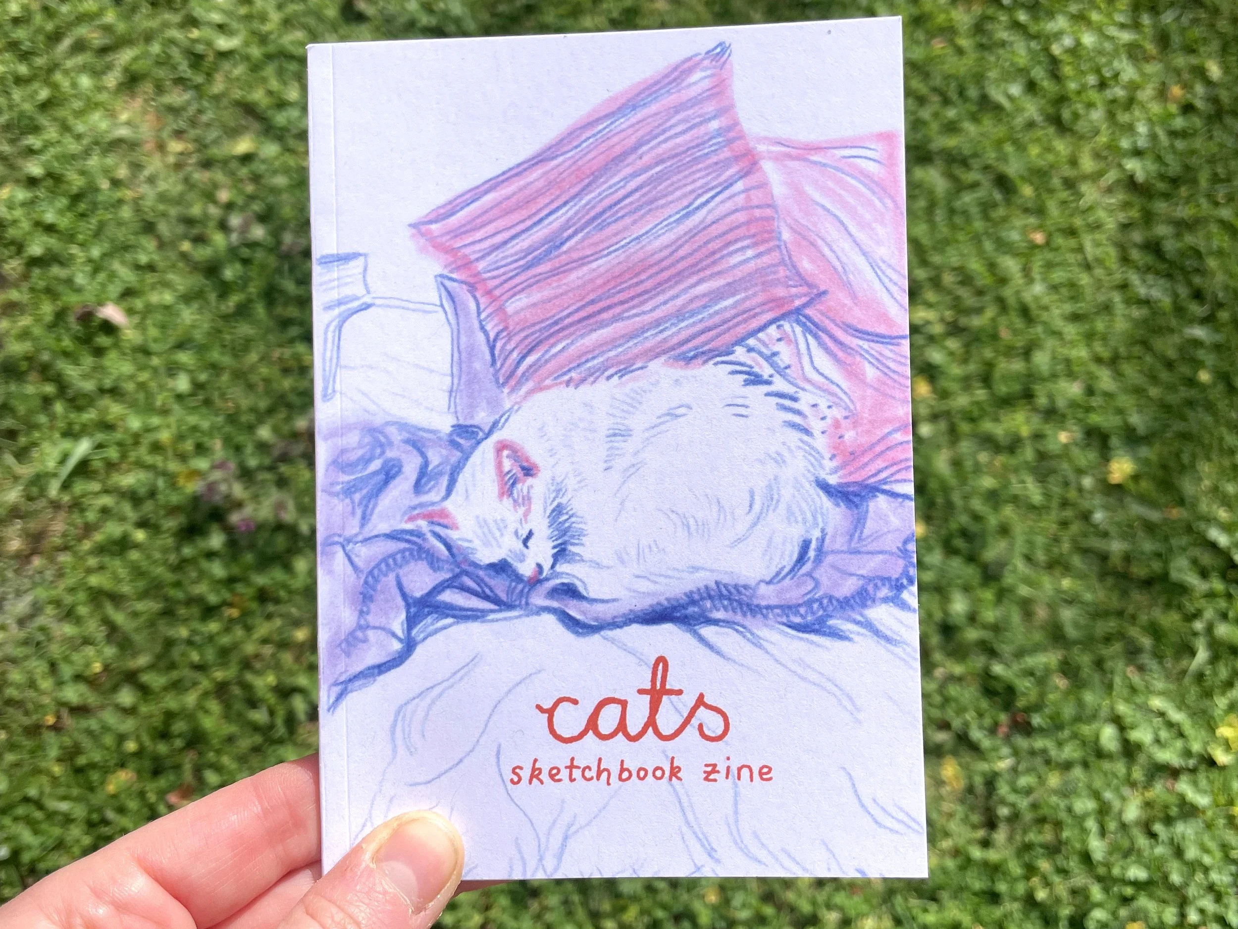 cats-kitties-illustration-sketchbook-zine-1.jpg