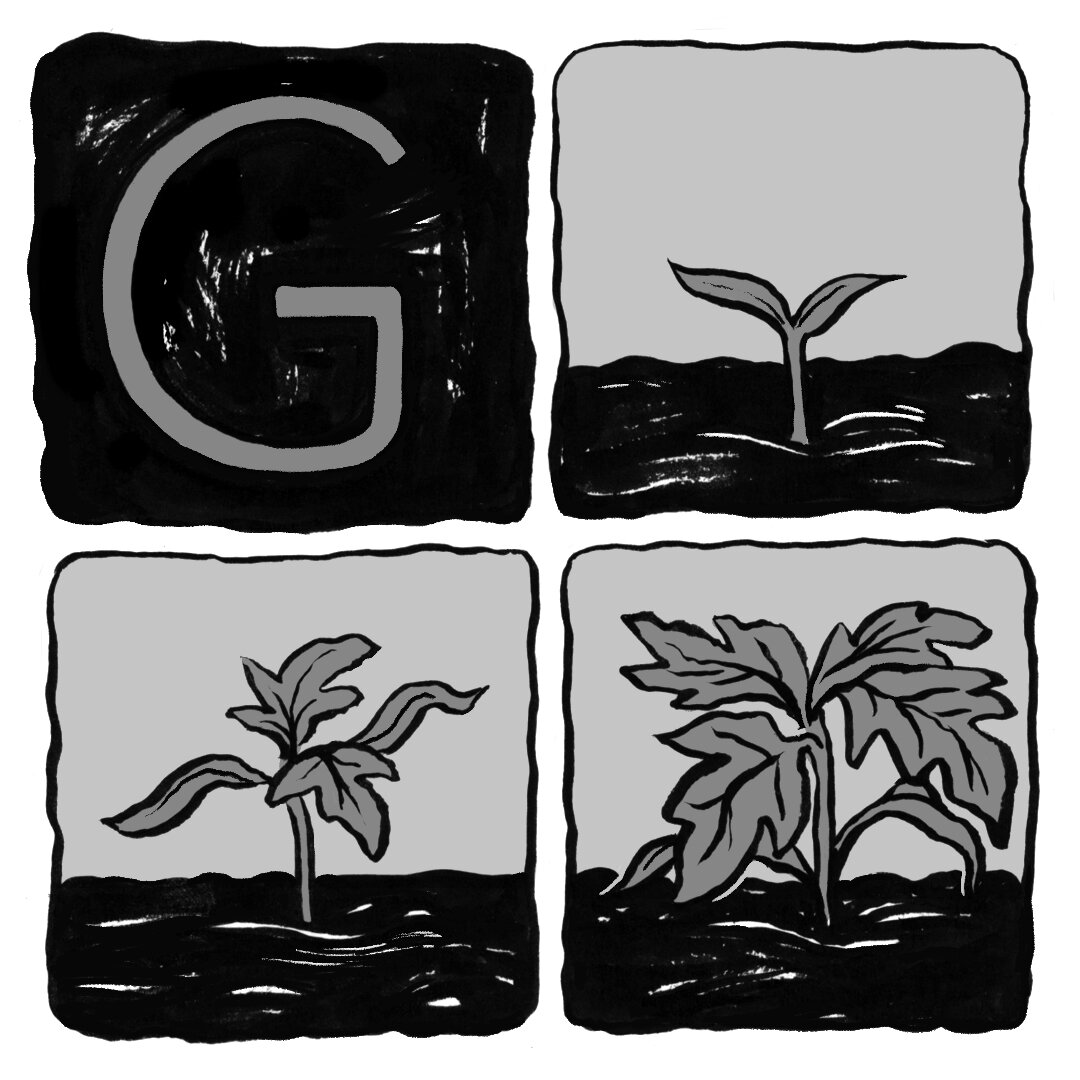 A black and white children’s illustration by Hayley Wells. The illustration uses expressive line work and texture to create a playful sequence of a tomato seedling growing.