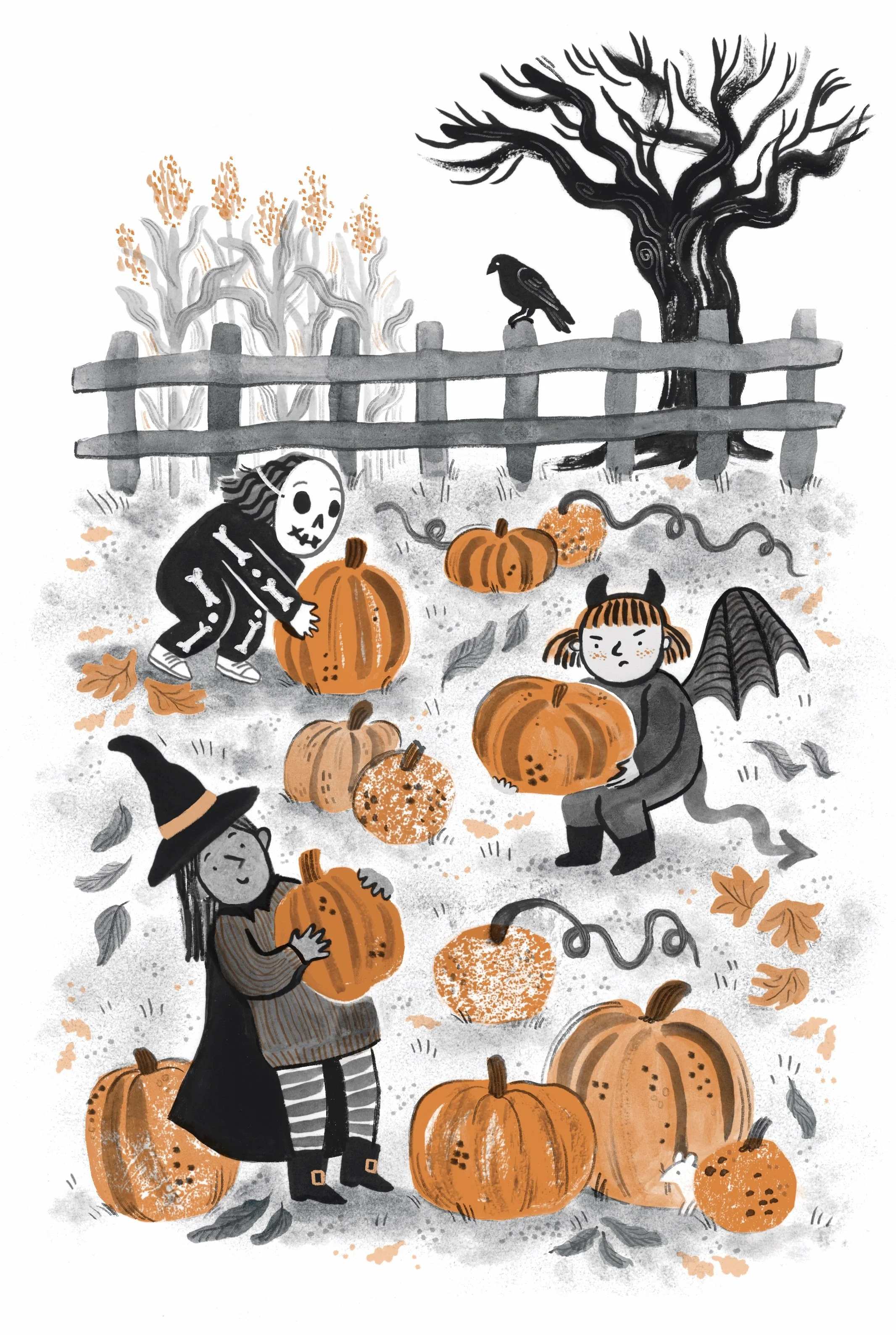A black and white, greyscale illustration with orange spot colour by Hayley Wells. This cute children's illustration shows three kids dressed for Halloween gathering pumpkins at the pumpkin patch. One is a skeleton, one is a devil, and one is a witch