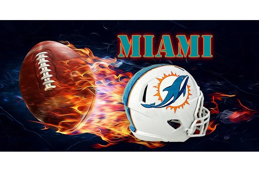 Miami Dolphins 2