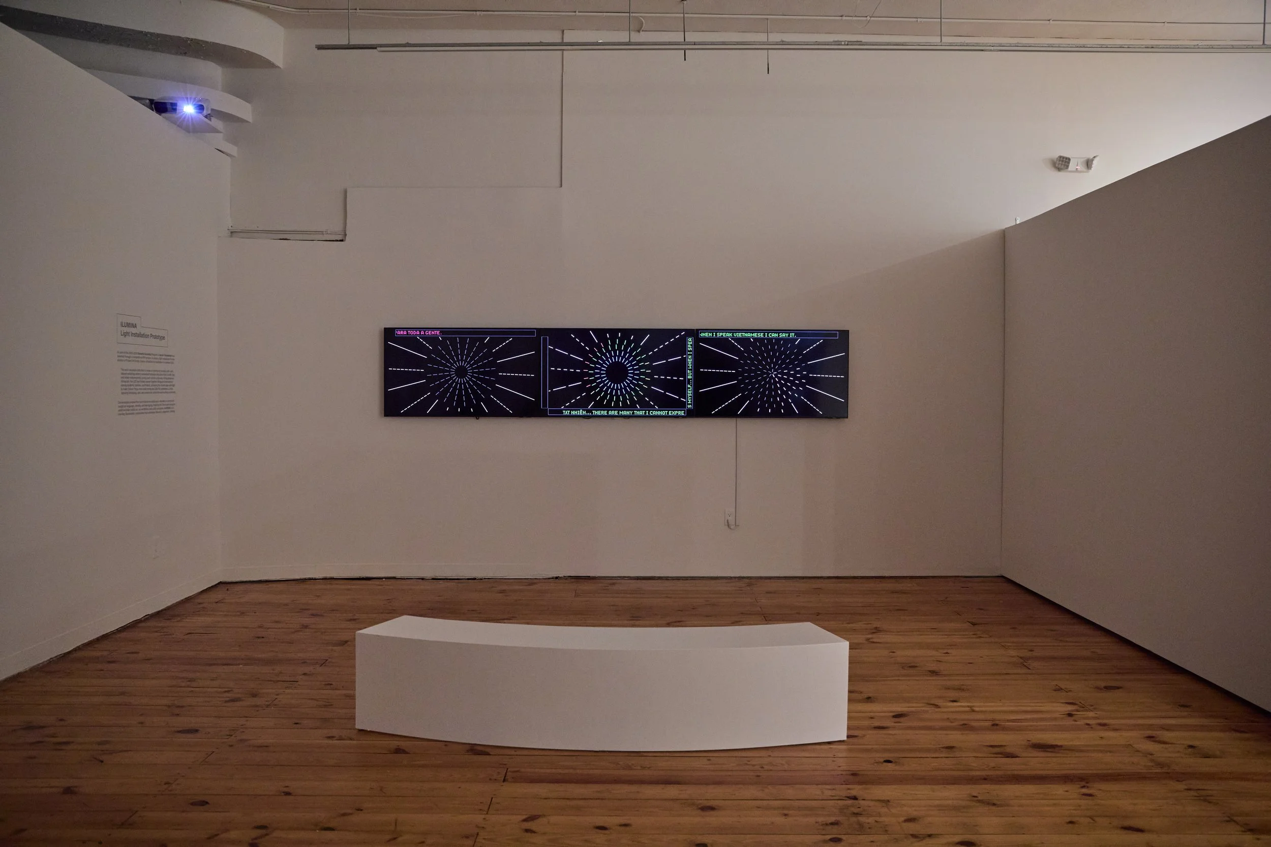 AFI_INSTALLATION_2026_CARLOS HERNANDEZ 2025_907.jpg