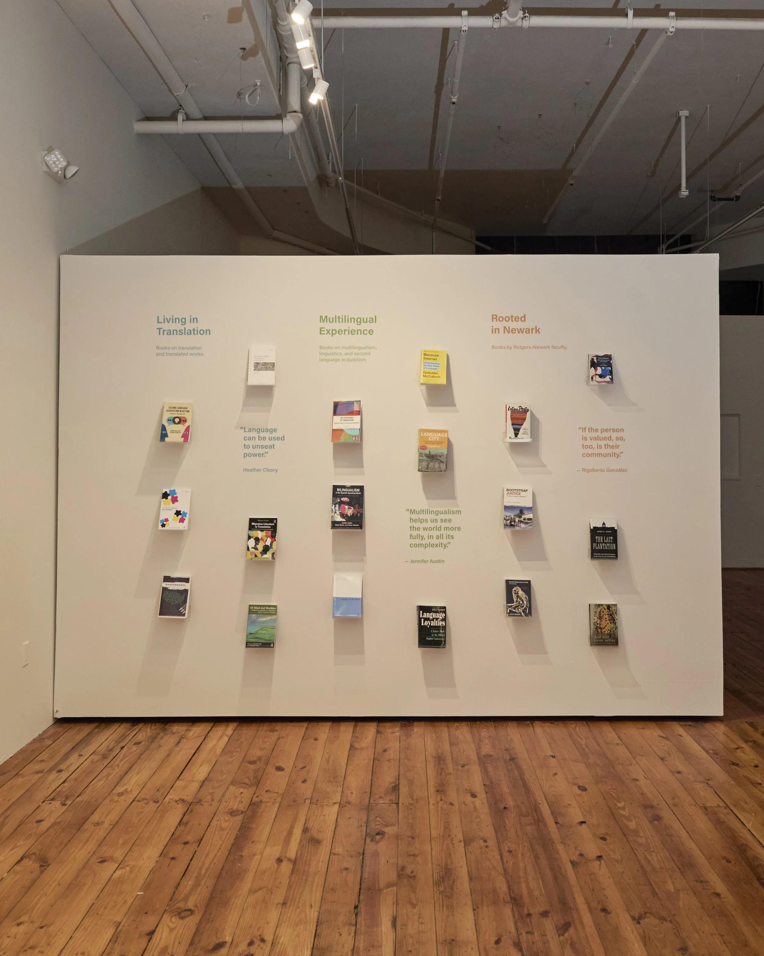 AFI_INSTALLATION_2026_CARLOS HERNANDEZ 2025_915.jpg