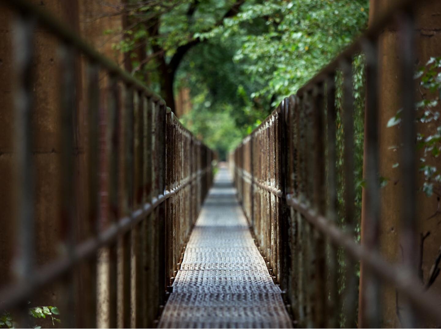 I never tire of this view. #rva #vanishingpoint #walkway #convergence #getolympus #em10markiii #urbanhike