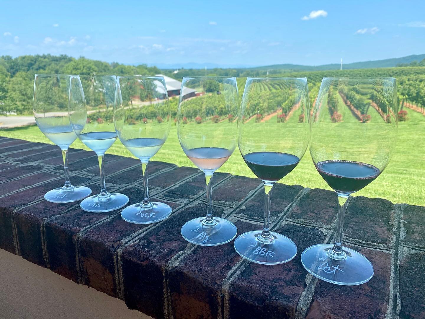 Thanks again to @barboursville and @themoderngent for setting us up with a fantastic afternoon at The Library. Beautiful view, tasty victuals, and of course... the wine. Perfect start to a holiday weekend. #drinklocal #virginiawine #loveva #cheese #c