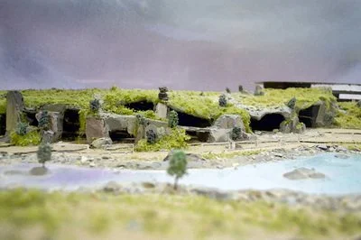 3147641.jpg