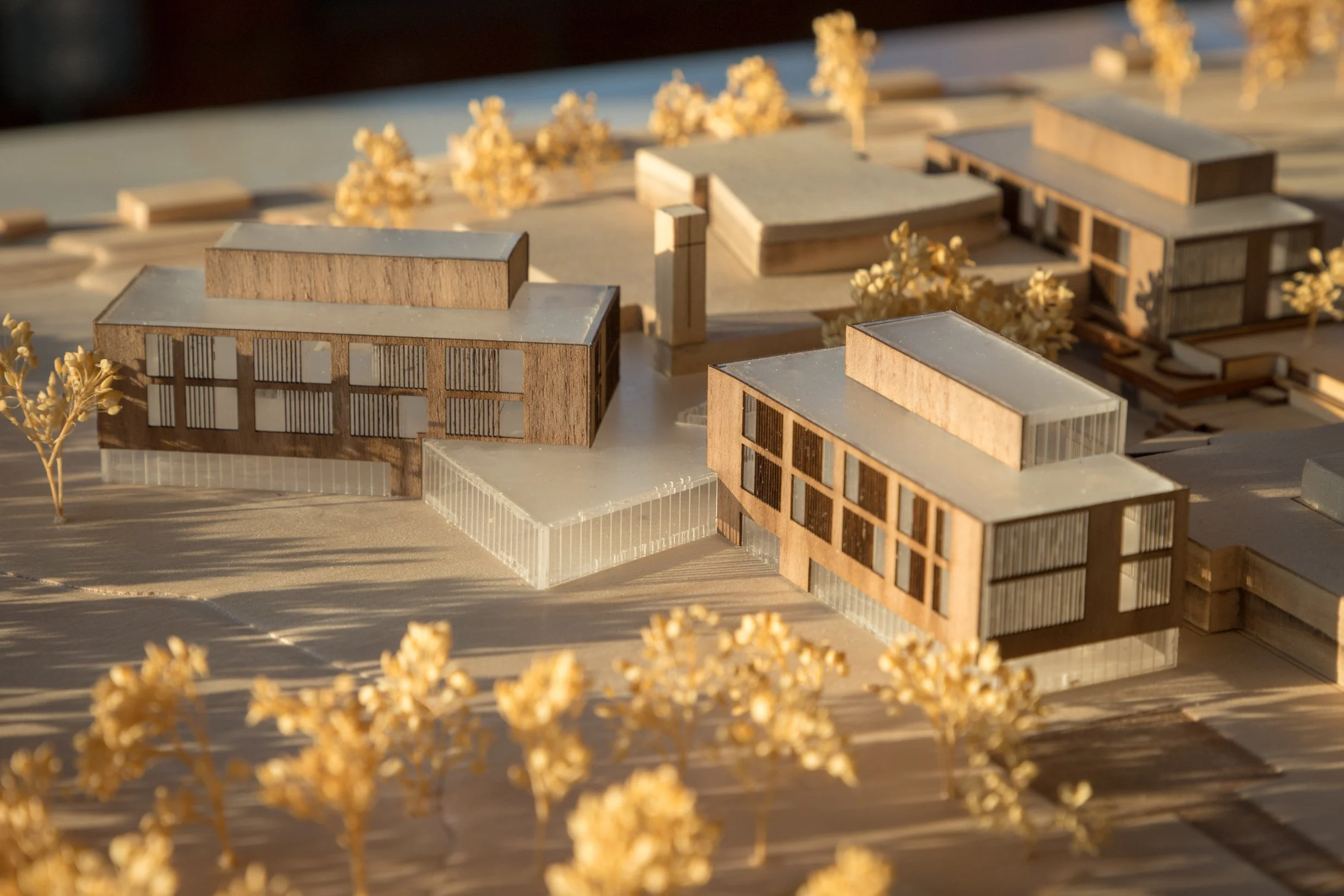 MinnehahaAcademyModel-5844_projectpage.jpg