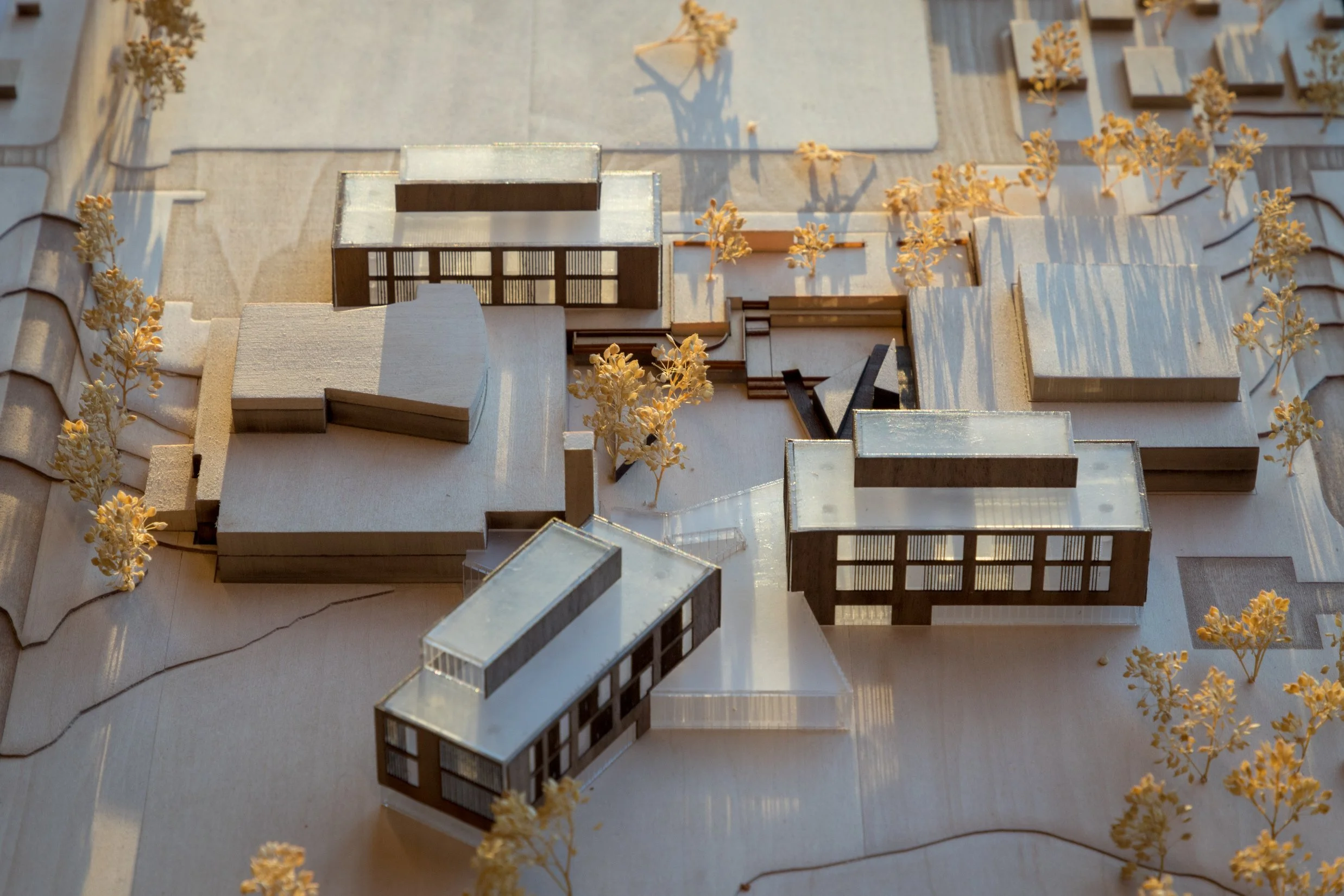 MinnehahaAcademyModel-5828_projectpage.jpg