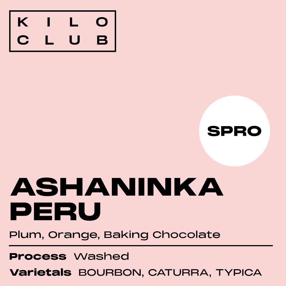 ASHANINKA, PERU (ESPRESSO)