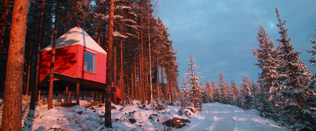 The Blue Cone, Treehotel