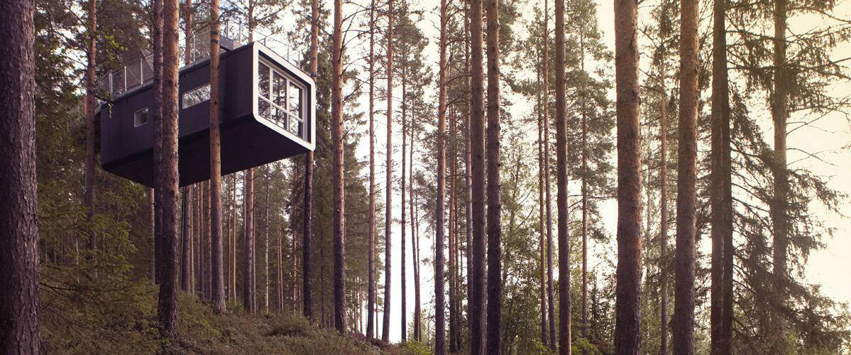 The Cabin at Treehotel