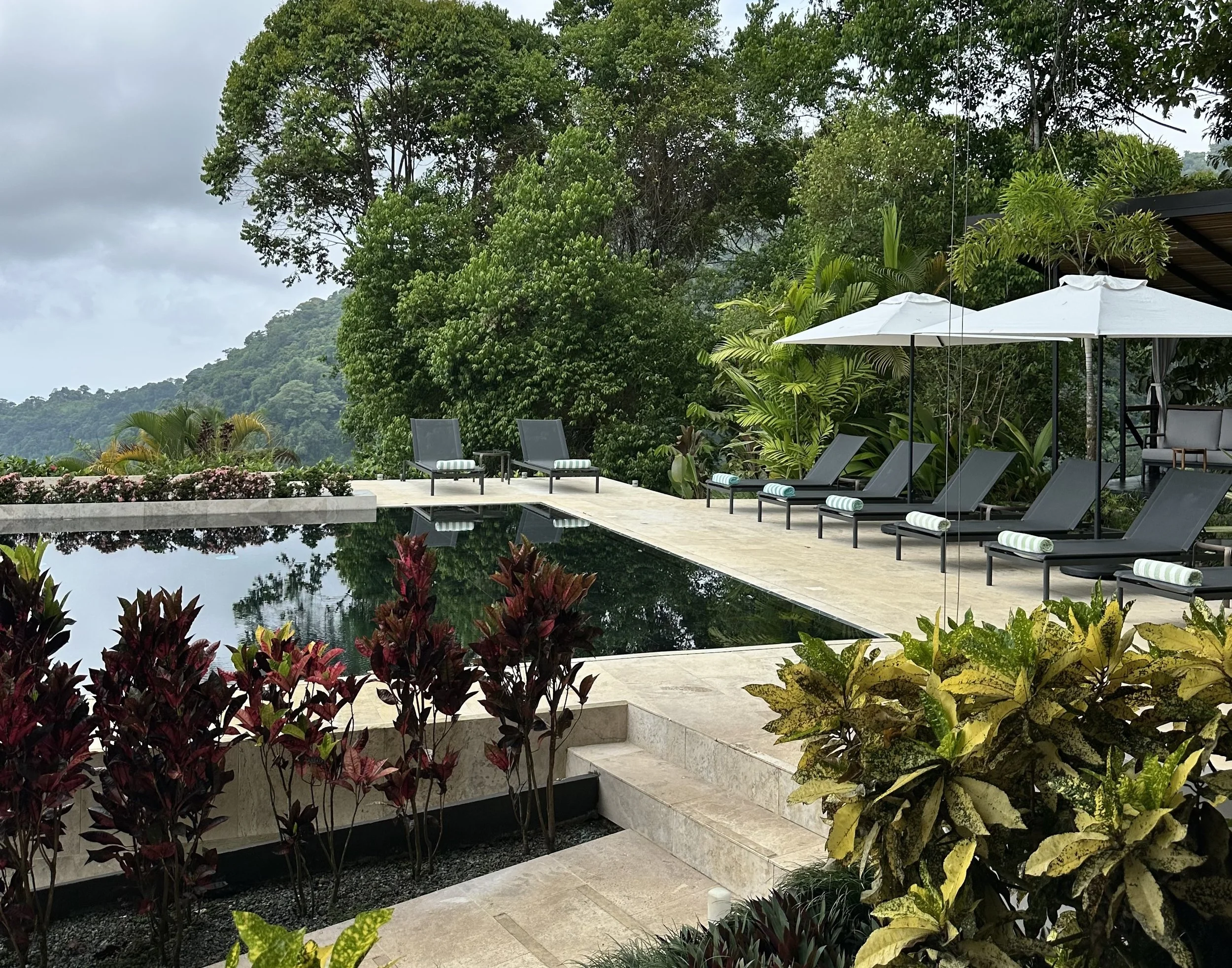 Lifestyle Luxury Suites Reference: Lulu S Luxury Lifestyle Hotel Marketing For Boutique Hotels And