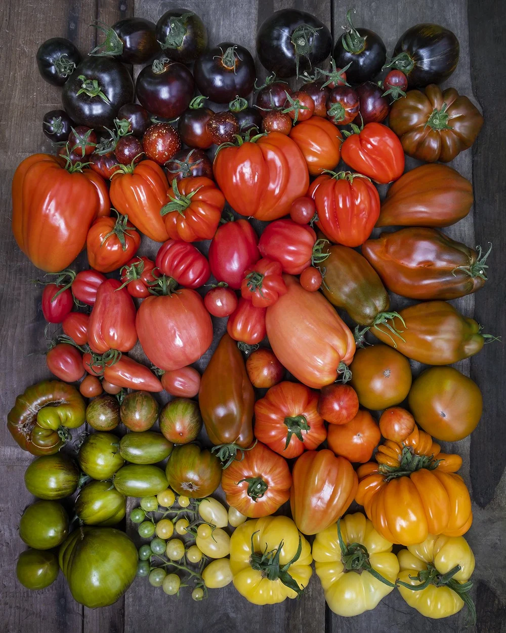 Copy of _DSF1742lowres.jpg