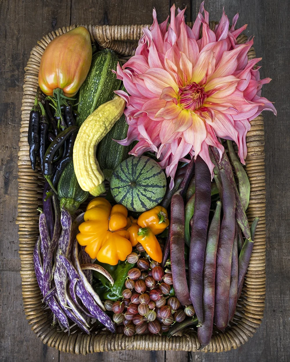 Copy of _DSF1586lowres.jpg