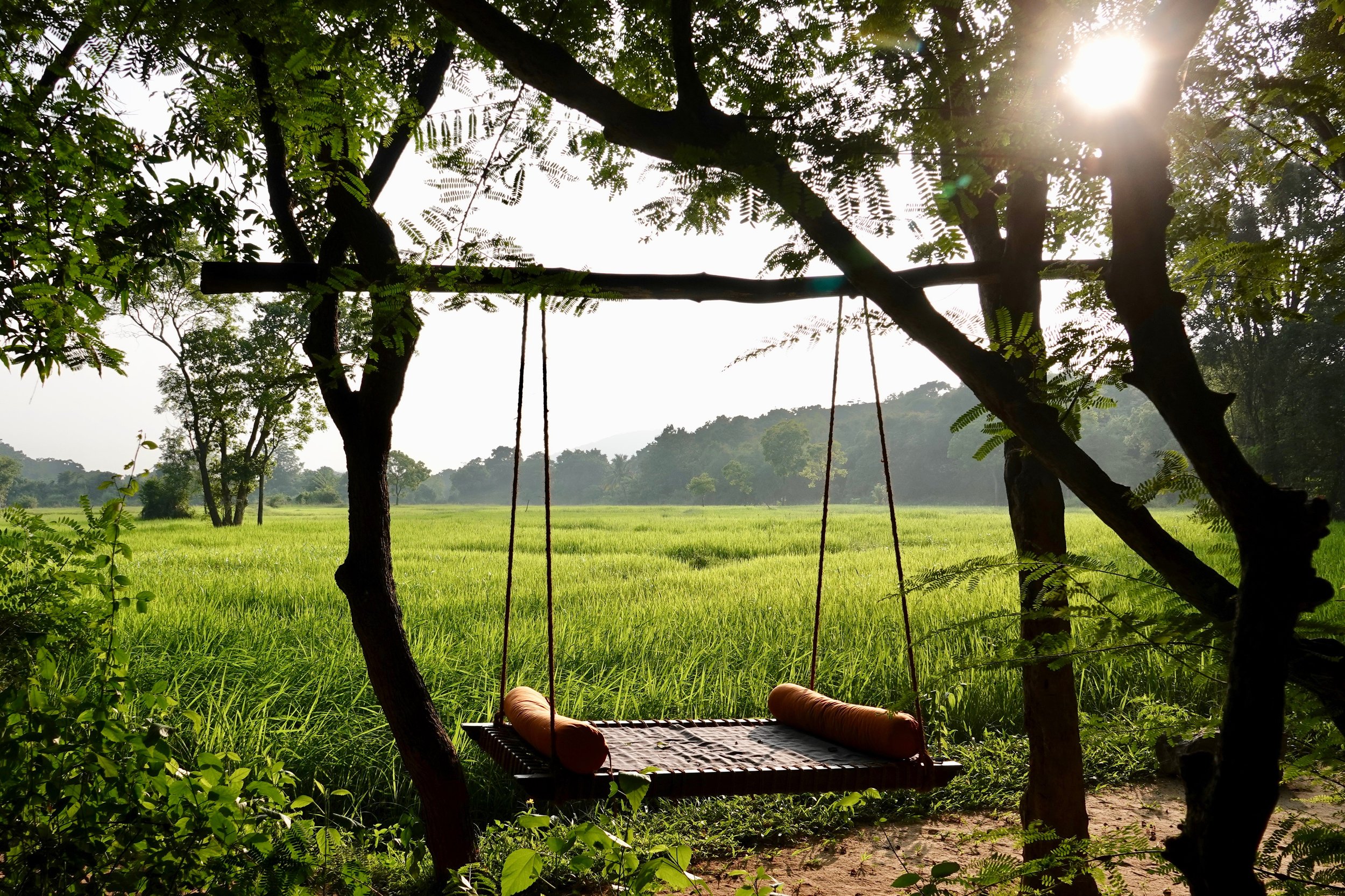 Swingbed by paddy fields.JPG