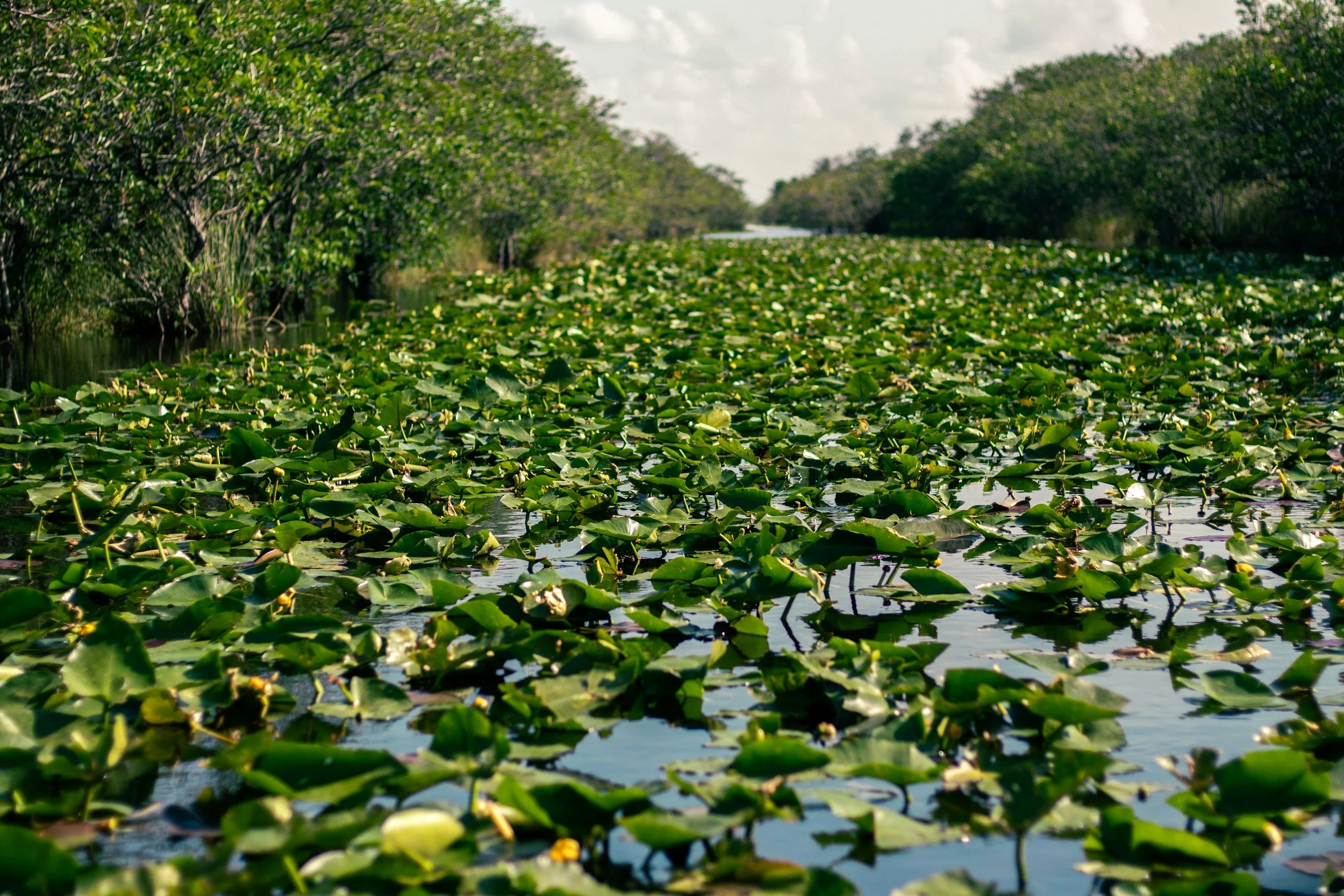 Everglades National Park