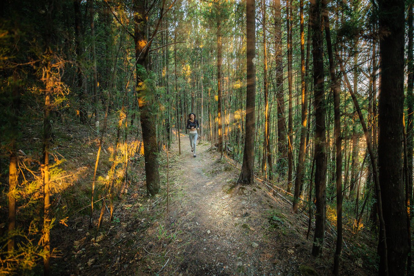 Euphoria Greece Nature woodland walk 300dpi.jpg