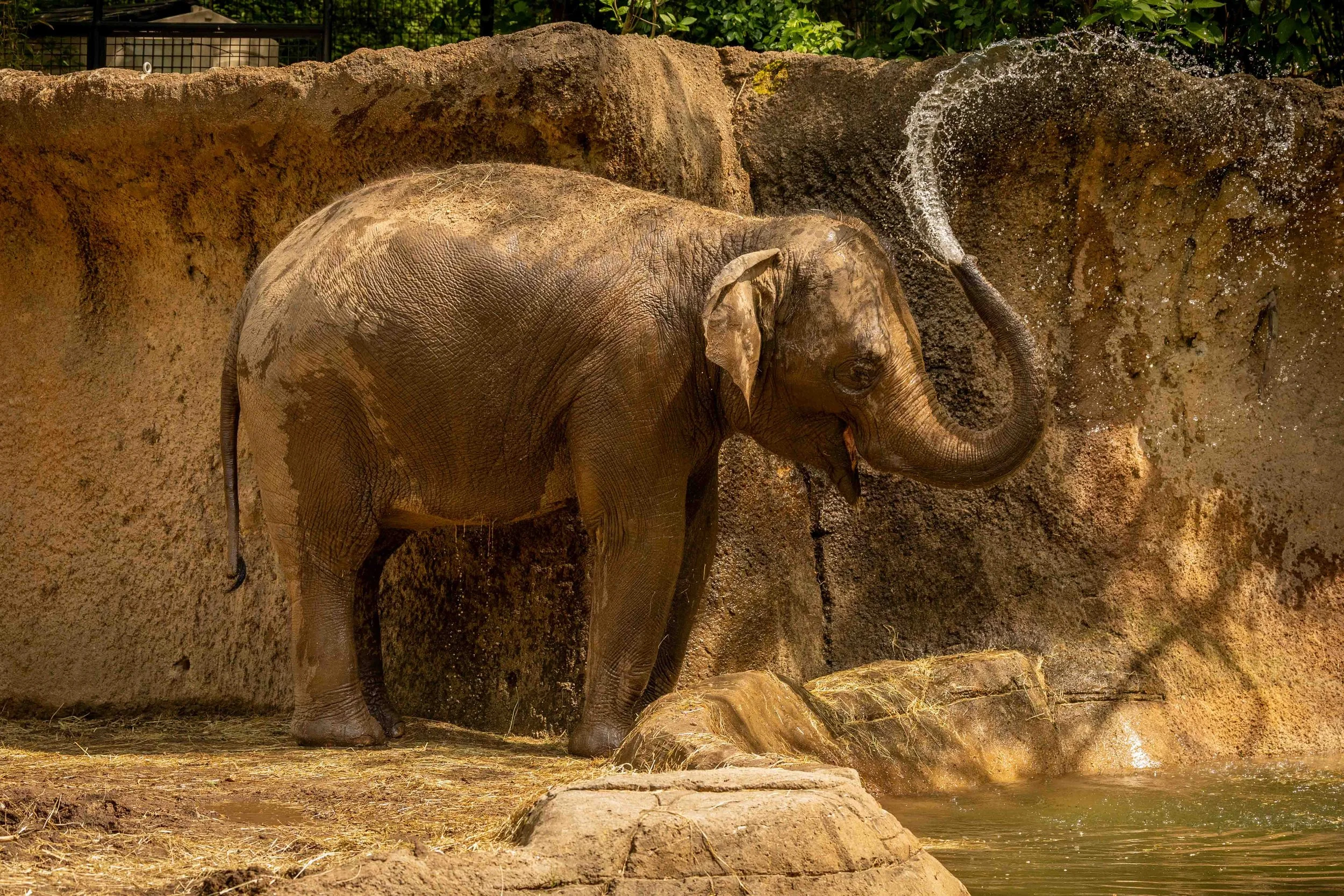 2026_04_17_Zoo_0313.JPG