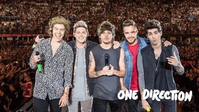 Famous boy band One Direction posing together on stage with the crowd in the background.