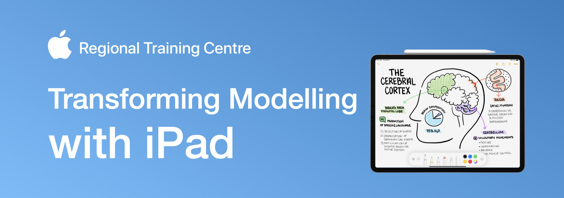 Transforming Modelling with iPad