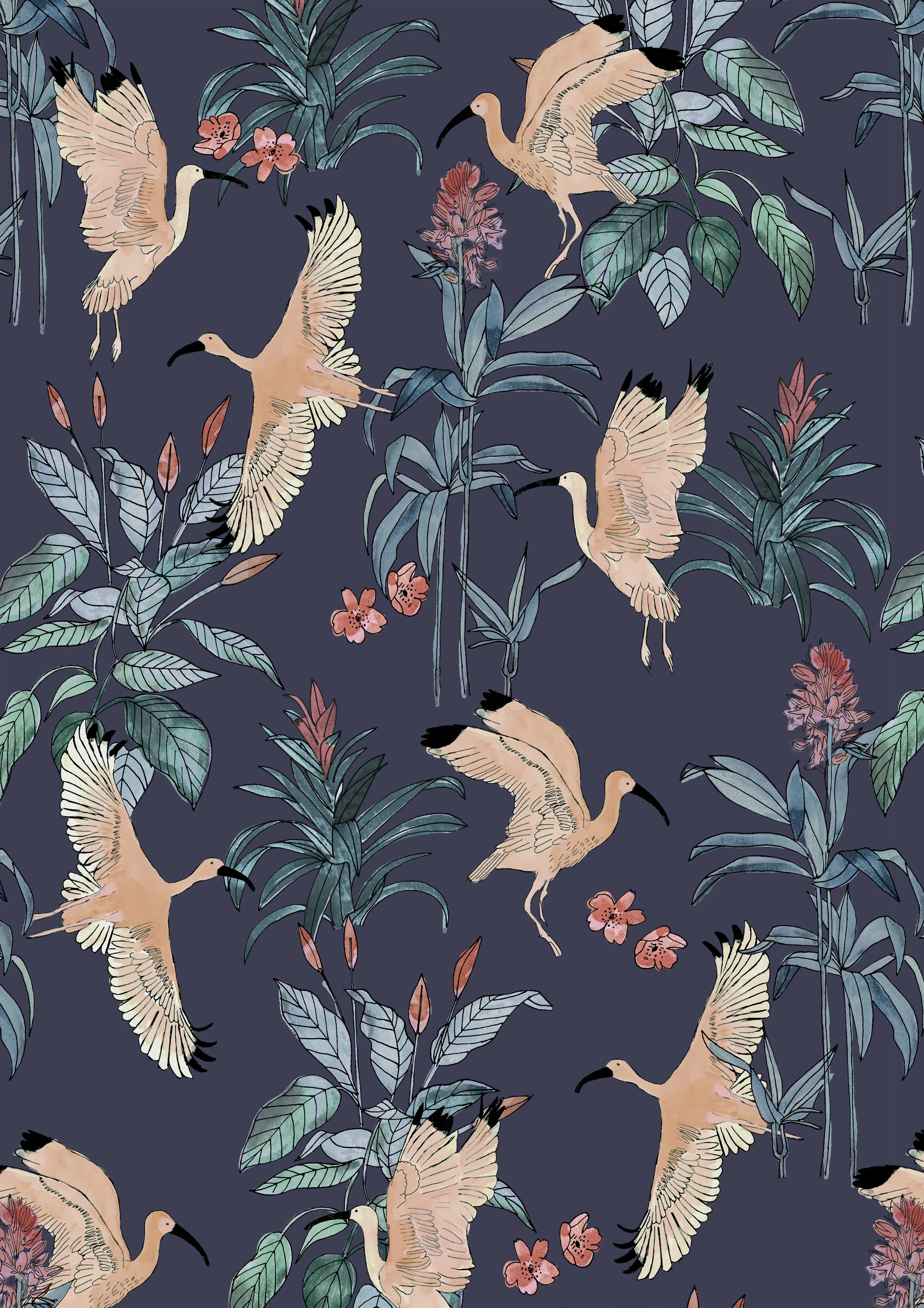 ibis.jpg